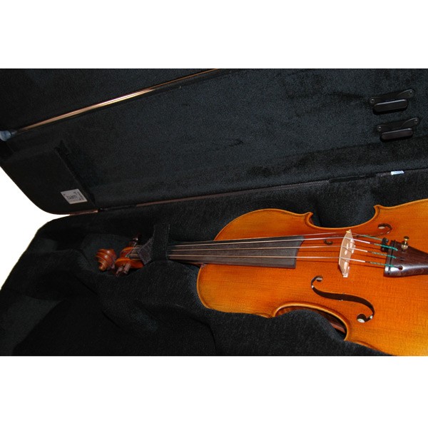 Bam Double Violin/Viola Case