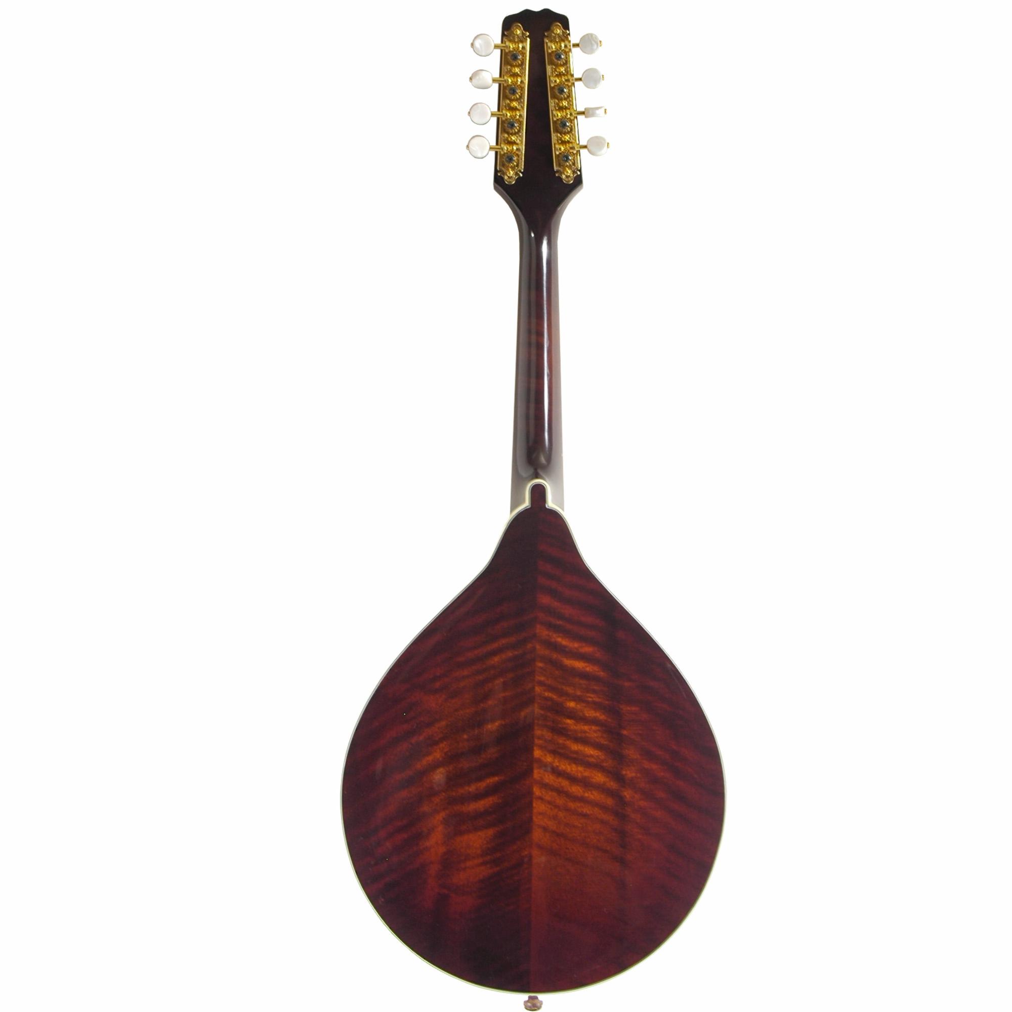 Delta Ridge A-Model Deluxe Mandolin