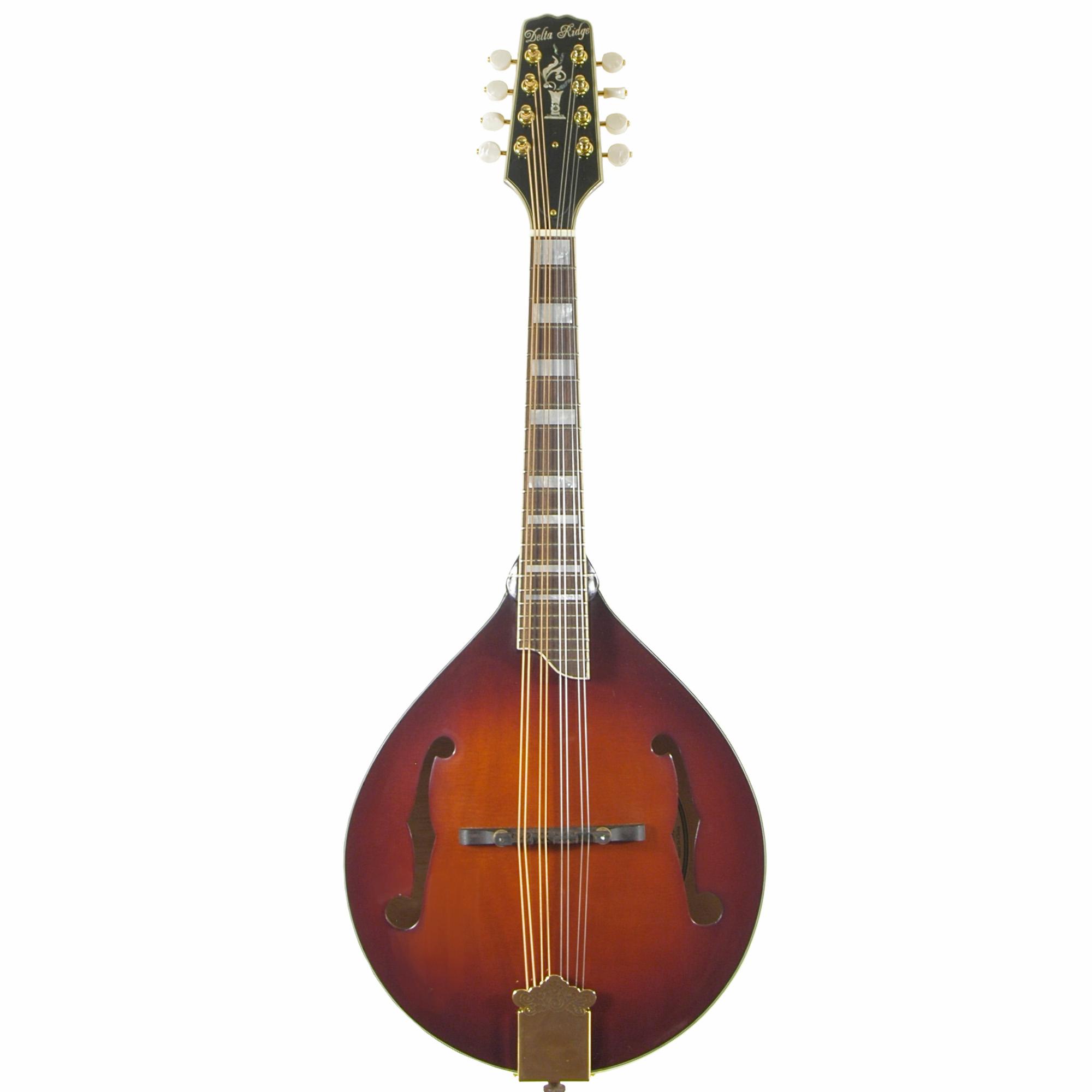 Delta Ridge A-Model Deluxe Mandolin