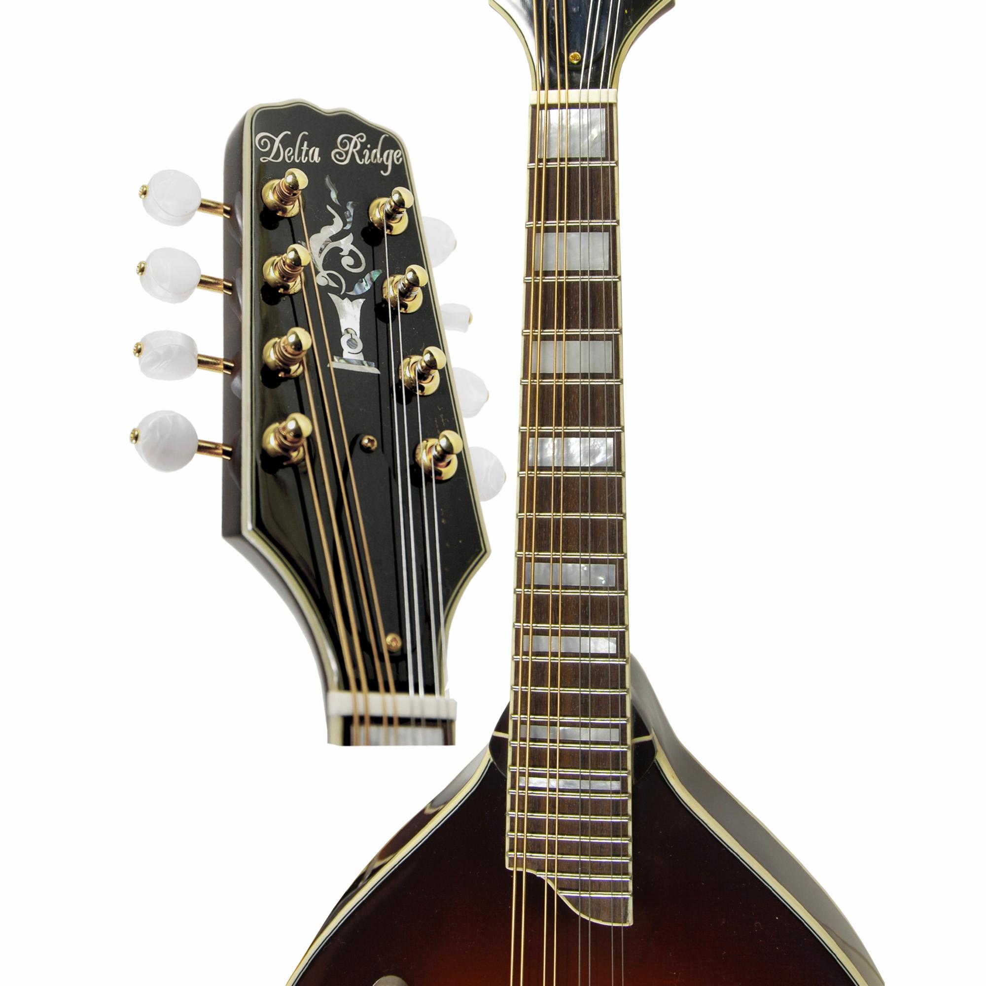 Delta Ridge A-Model Deluxe Mandolin