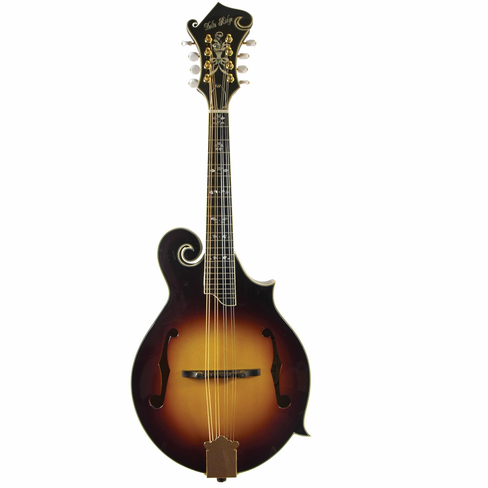 Delta Ridge F-Model Mandolin