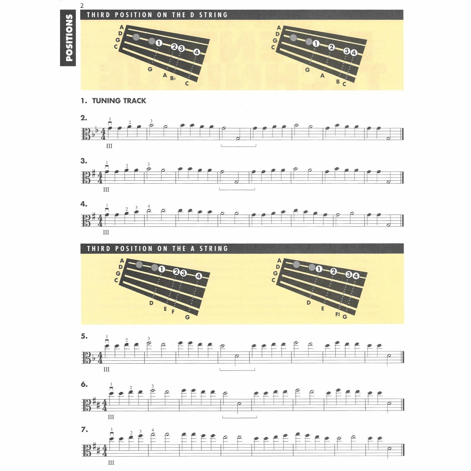 Sample: Viola, Pg. 2