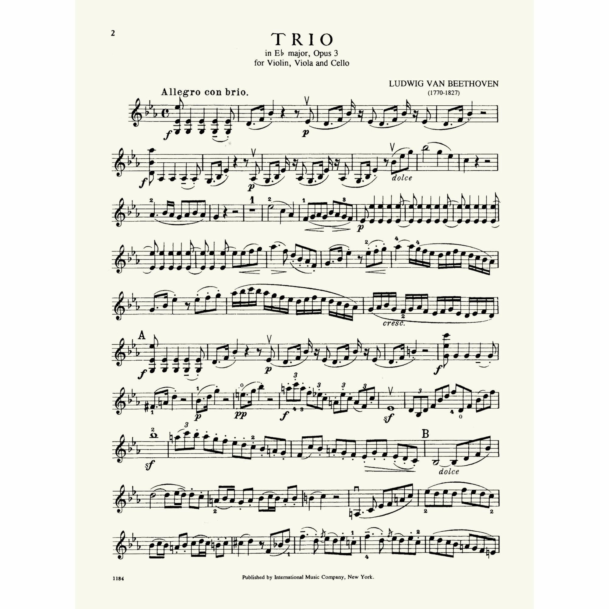 Sample: Violin (Pg. 2)