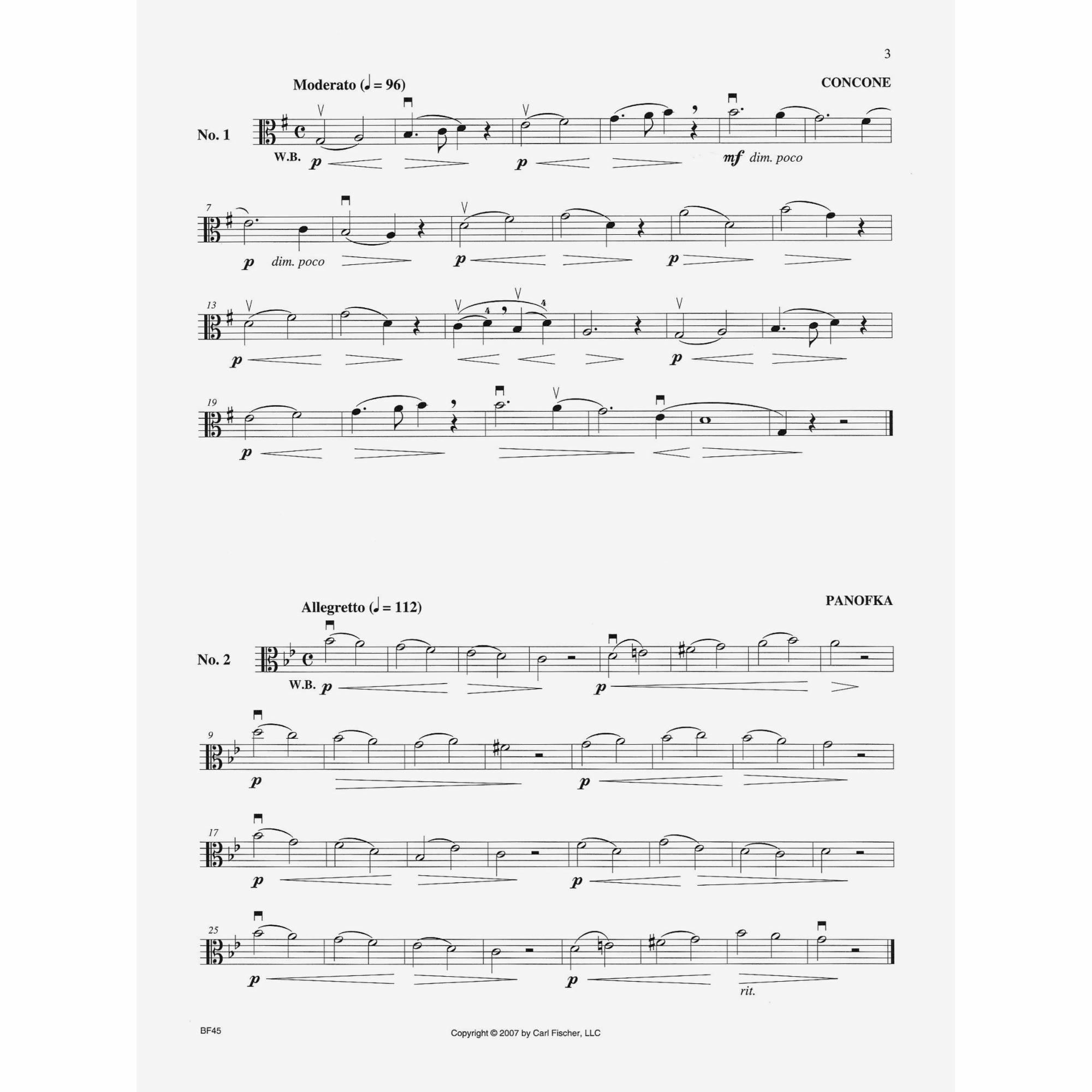 Sample: Viola (Pg. 3)