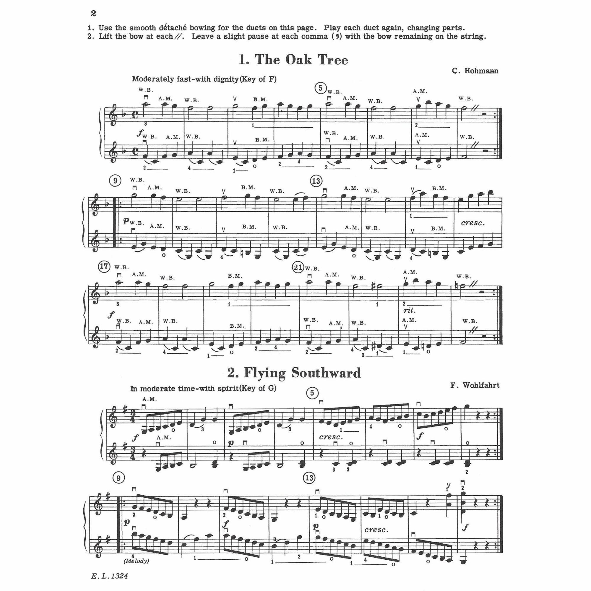 Sample: Violin (Pg. 2)