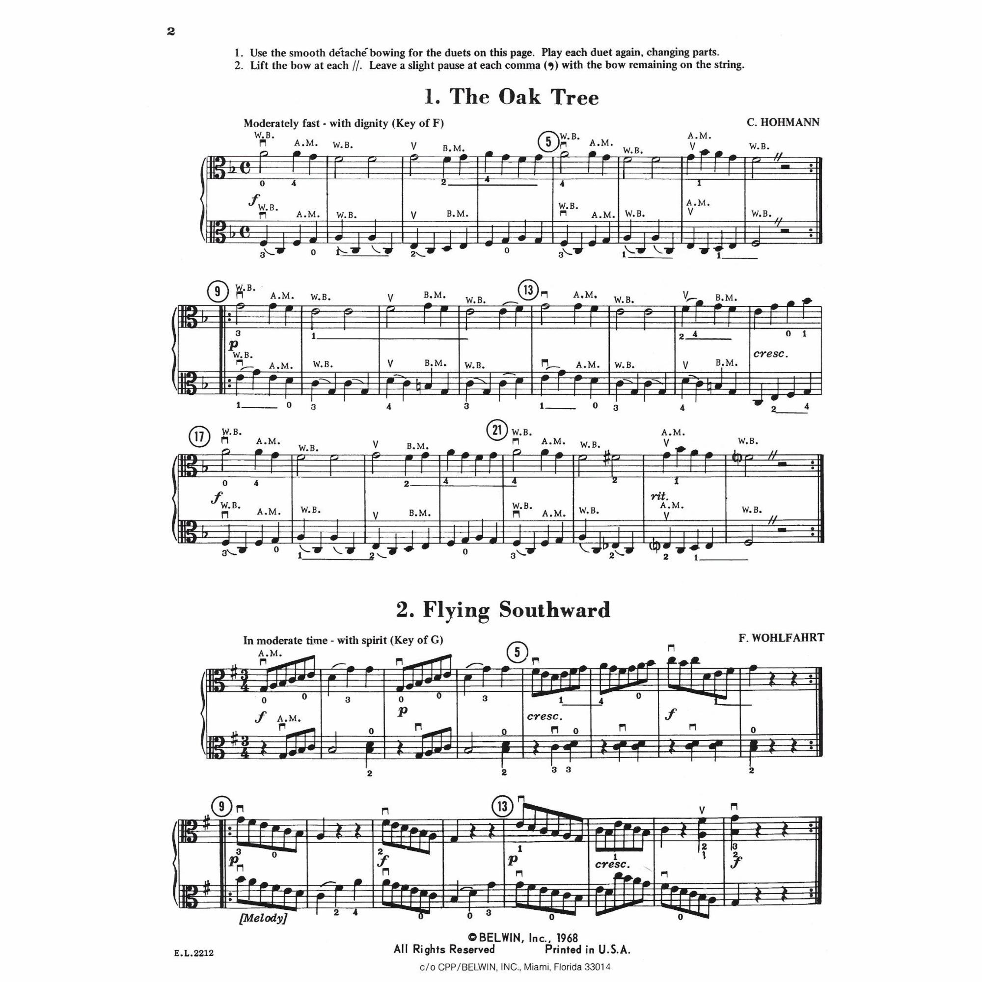 Sample: Viola (Pg. 2)