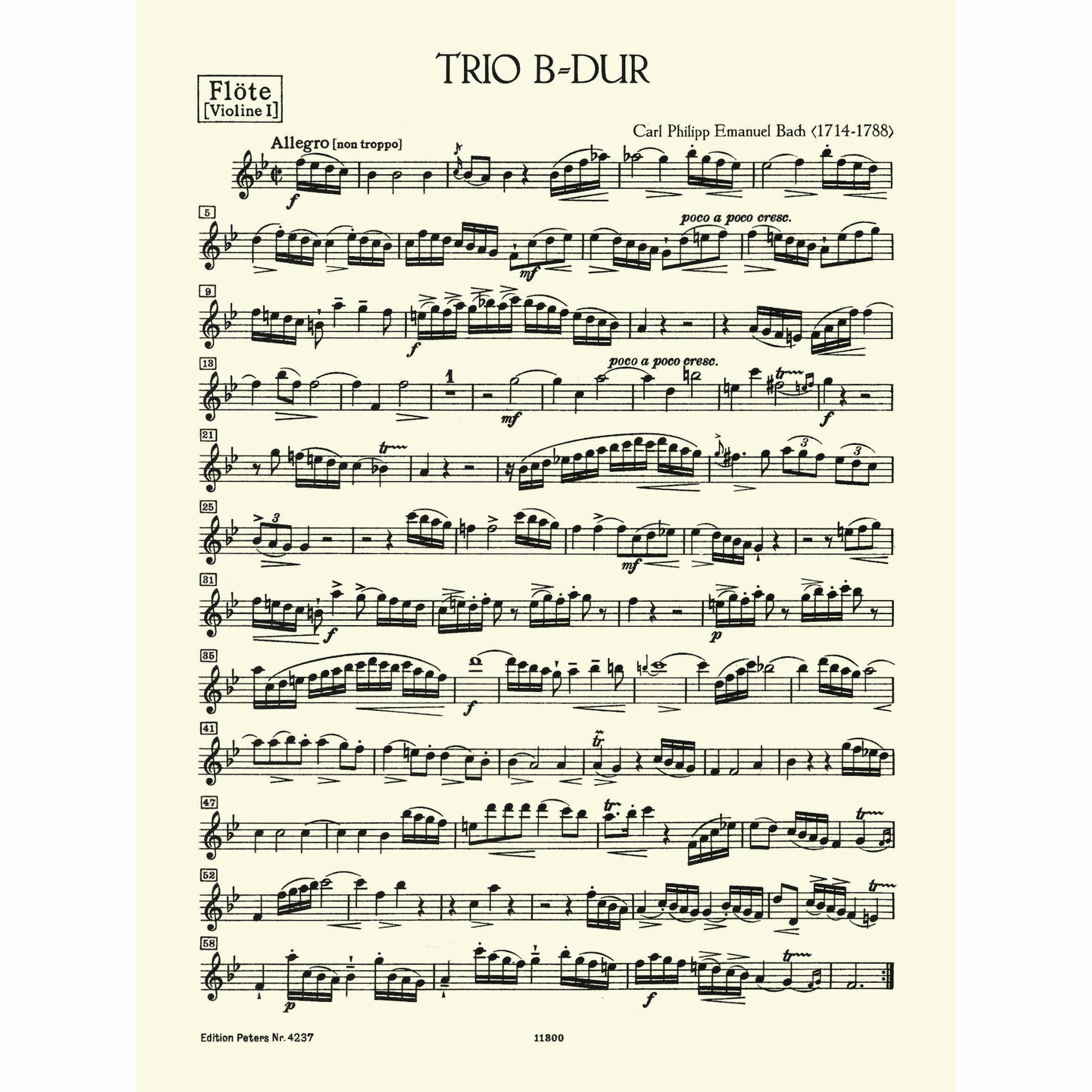 Sample: Flute (Pg. 1)