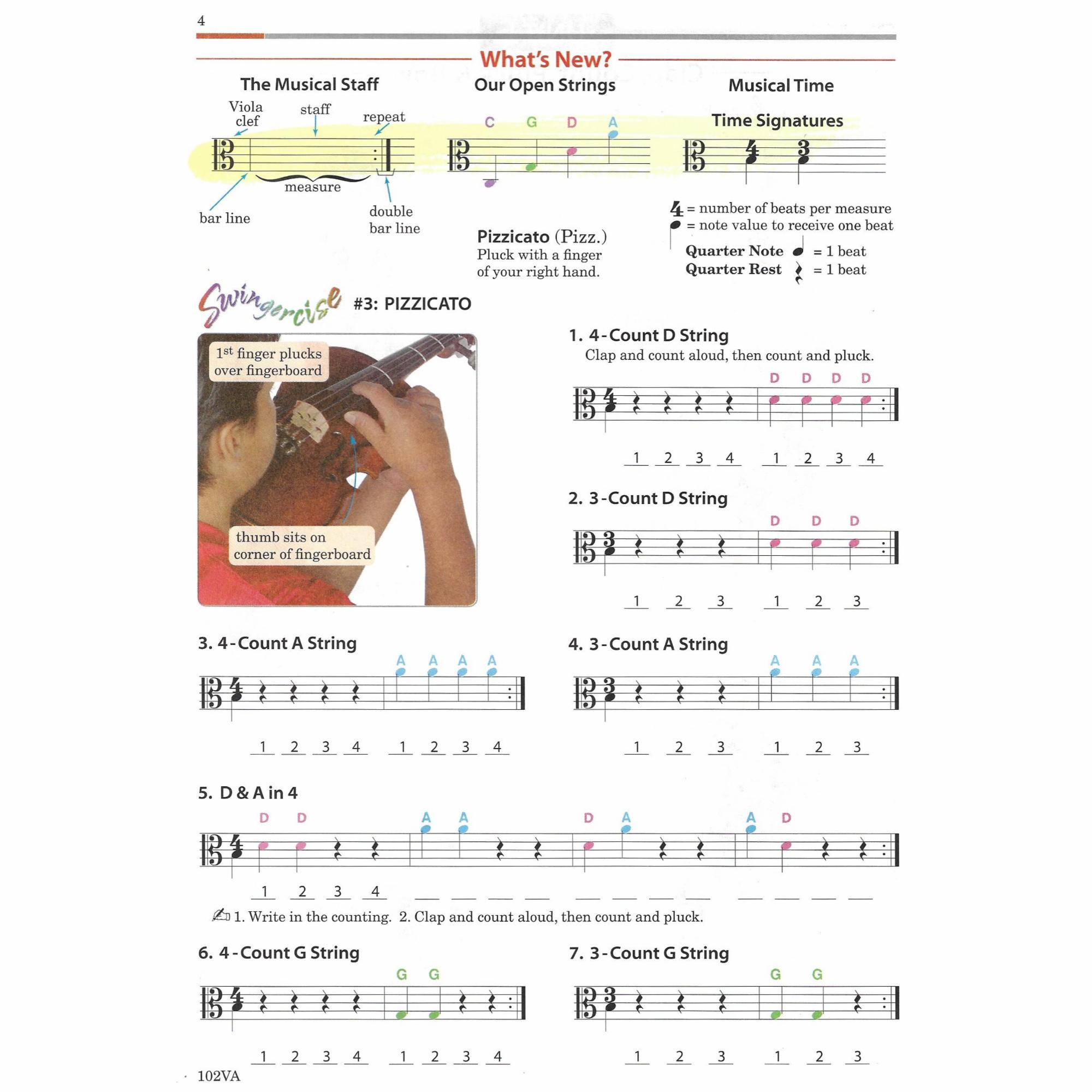 Sample: Viola (Pg. 4)