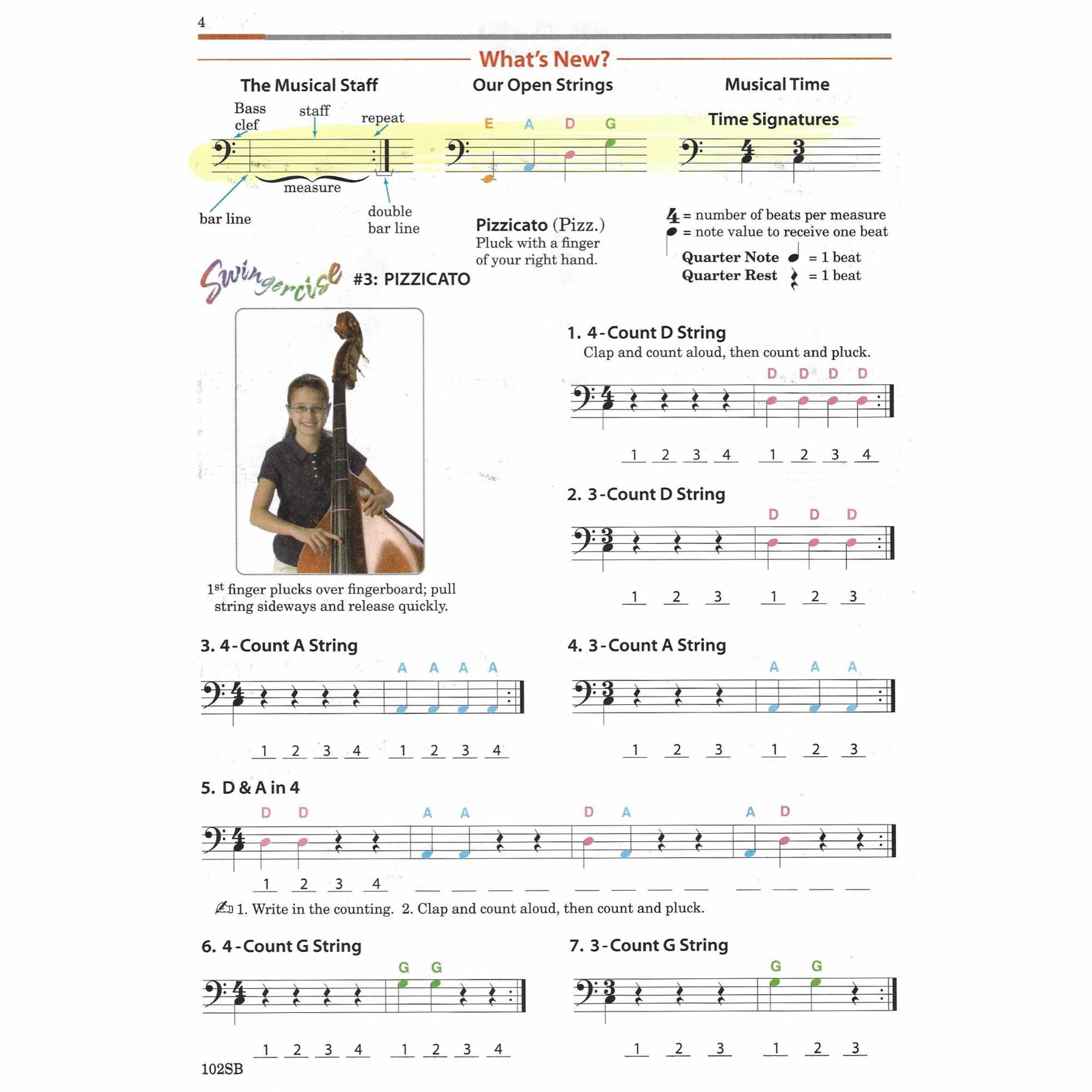 Sample: Bass (Pg. 4)