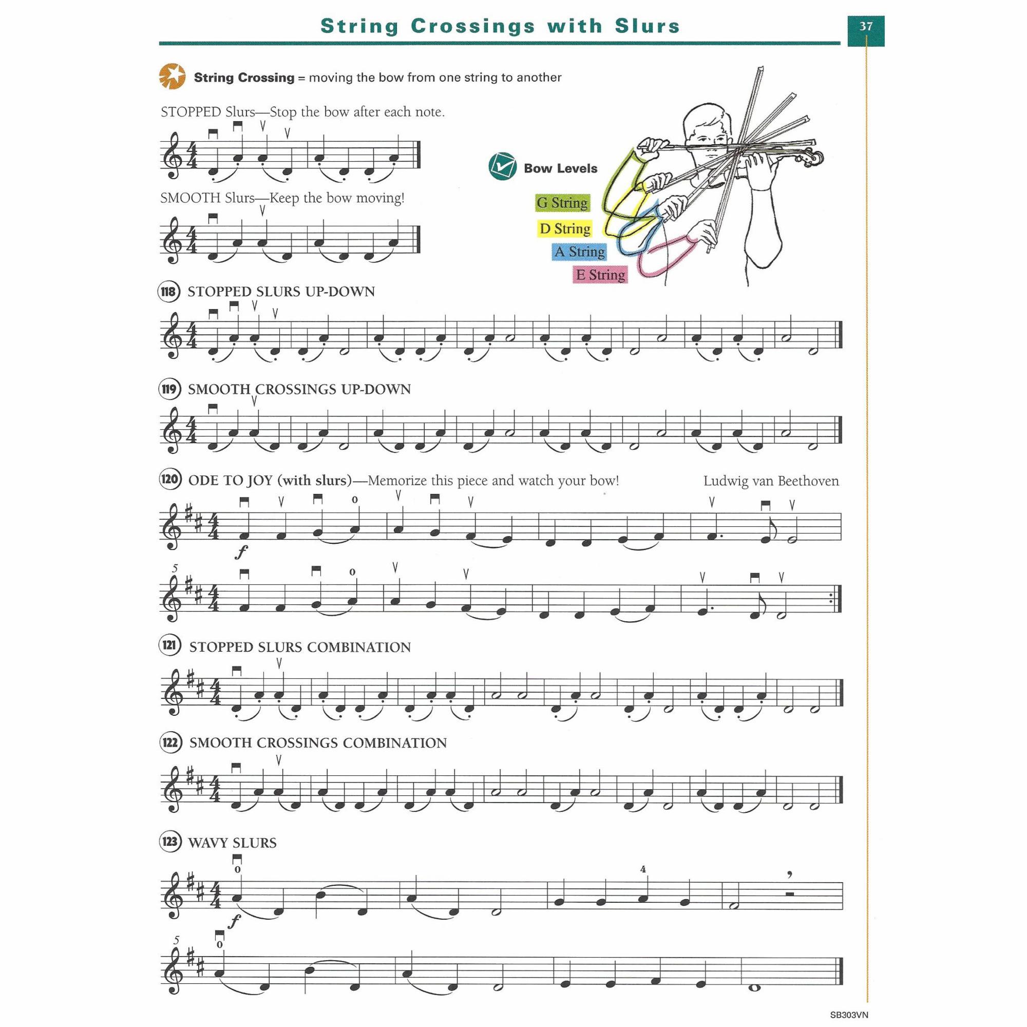 Sample: Violin (Pg. 37)