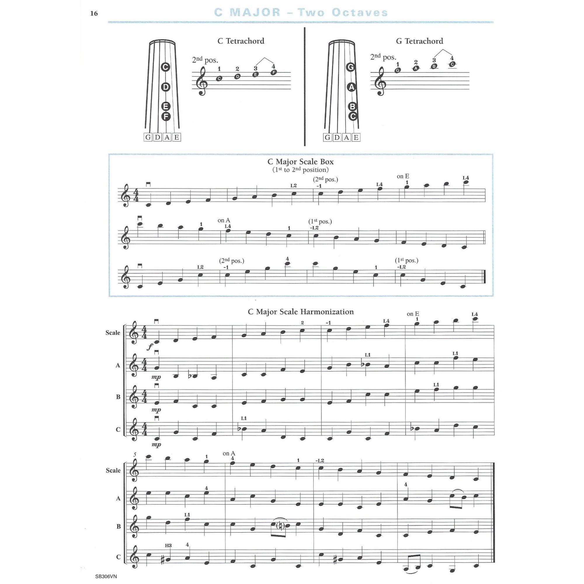 Sample: Violin (Pg. 16)