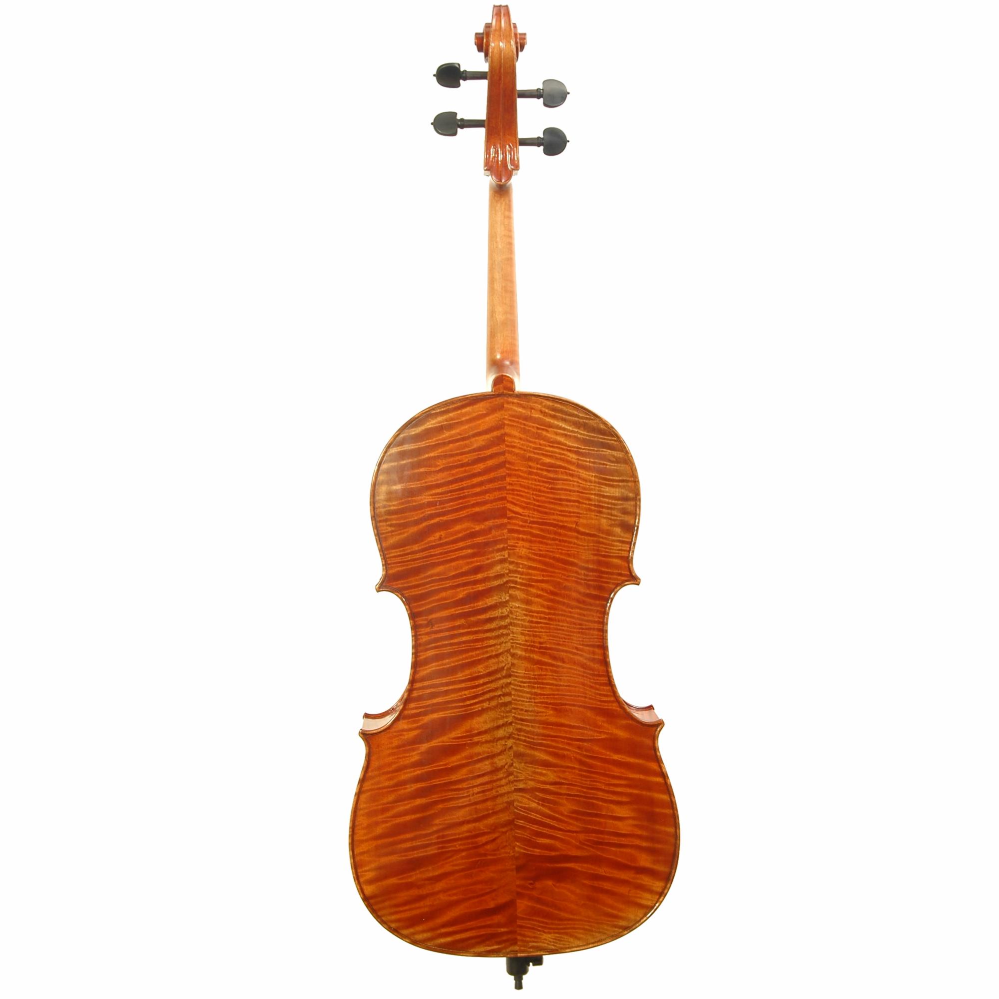 Scott Cao Guadagnini Cello