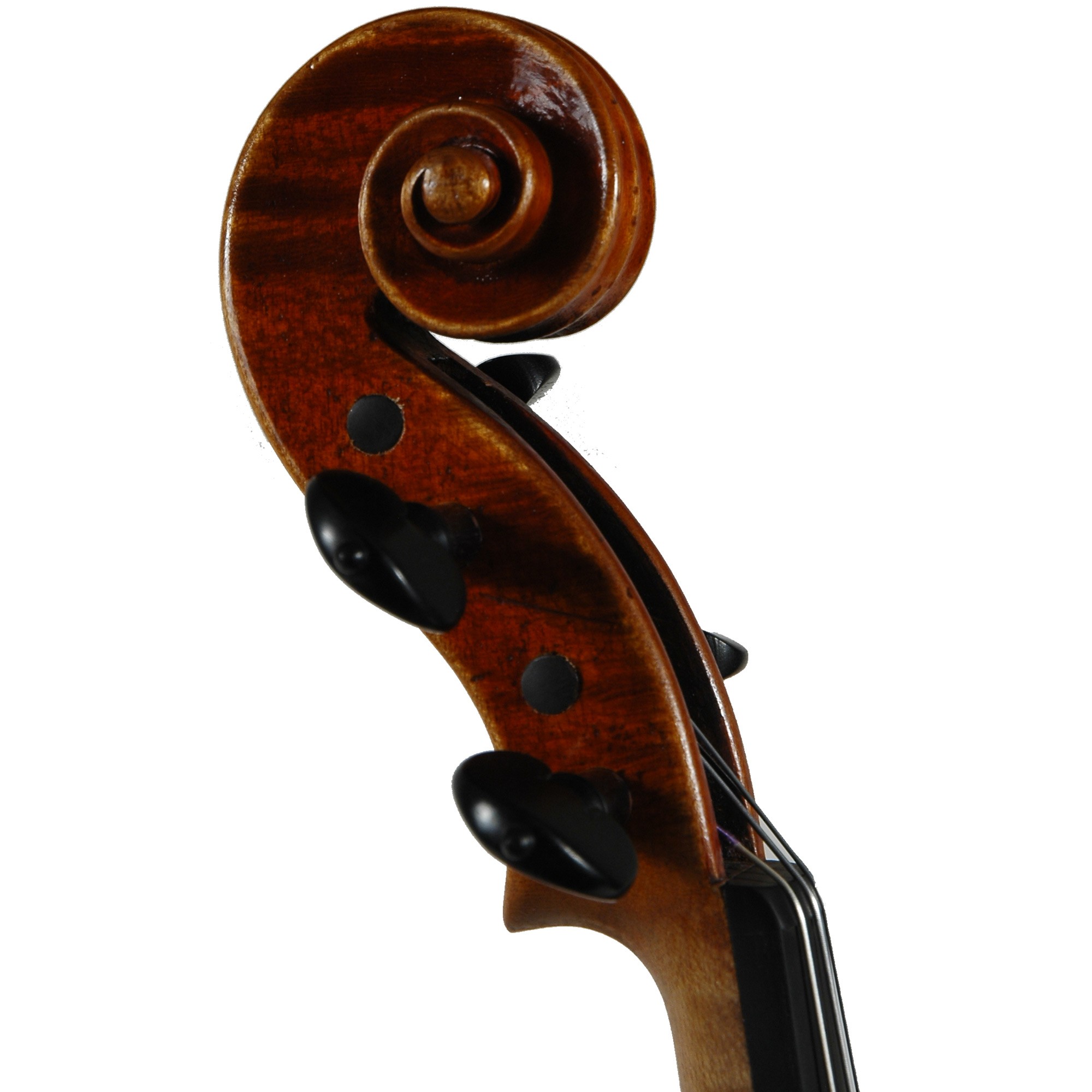 Scott Cao David Violin