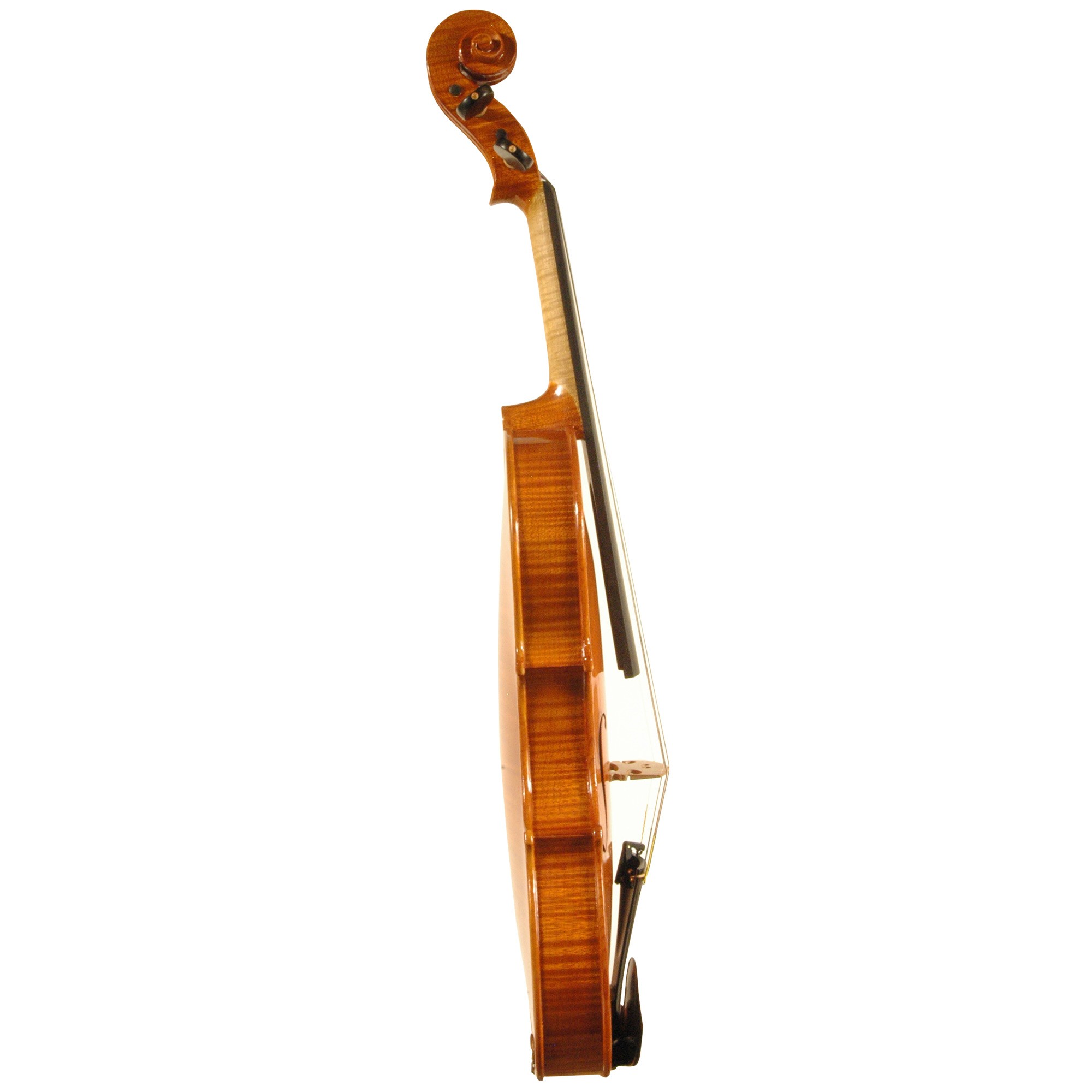 Linea Giuseppe Lucca Violin