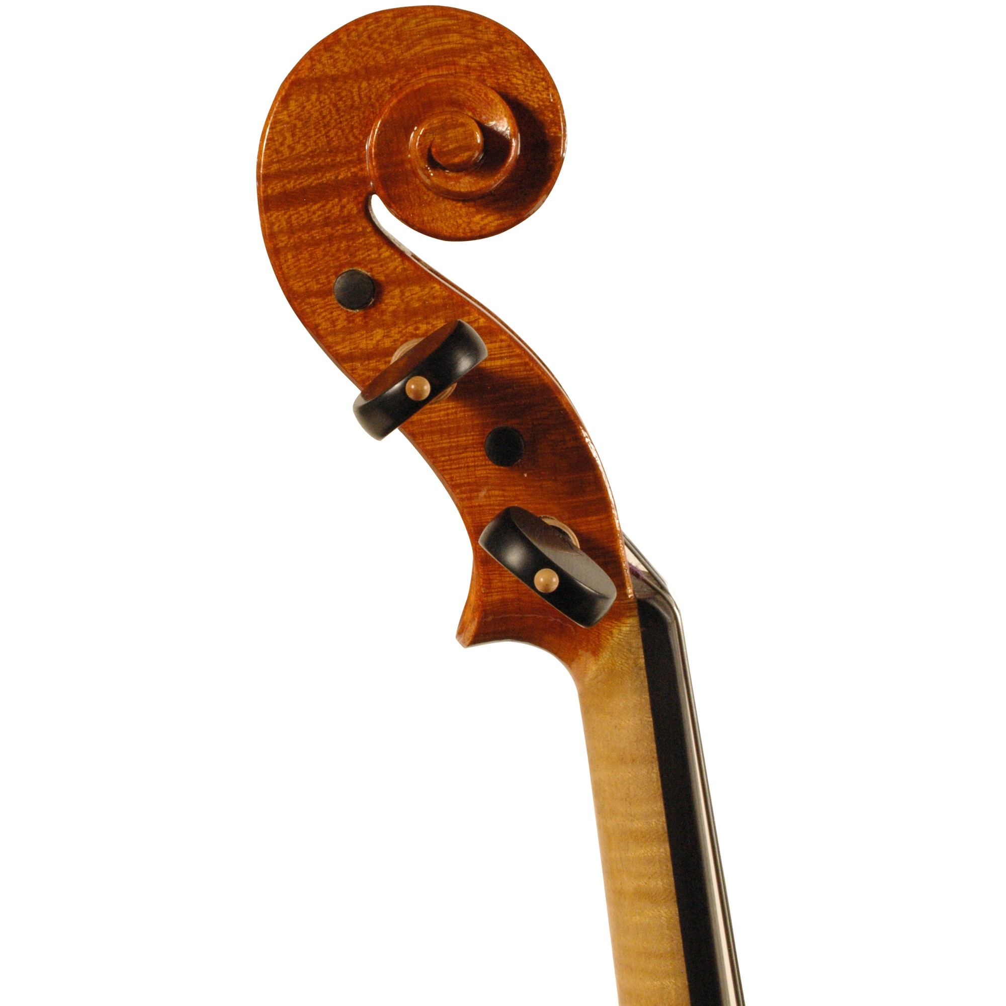 Linea Giuseppe Lucca Violin