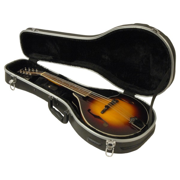 Delta Ridge Thermoplastic Mandolin A Model Folk Case