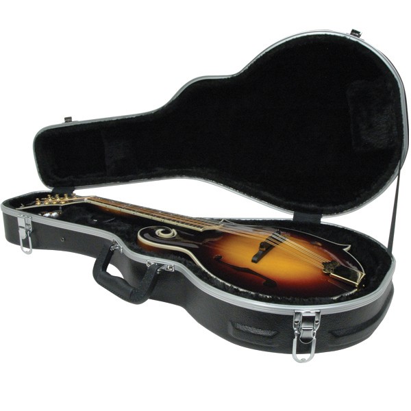 Delta Ridge Thermoplastic Mandolin F Model Folk Case