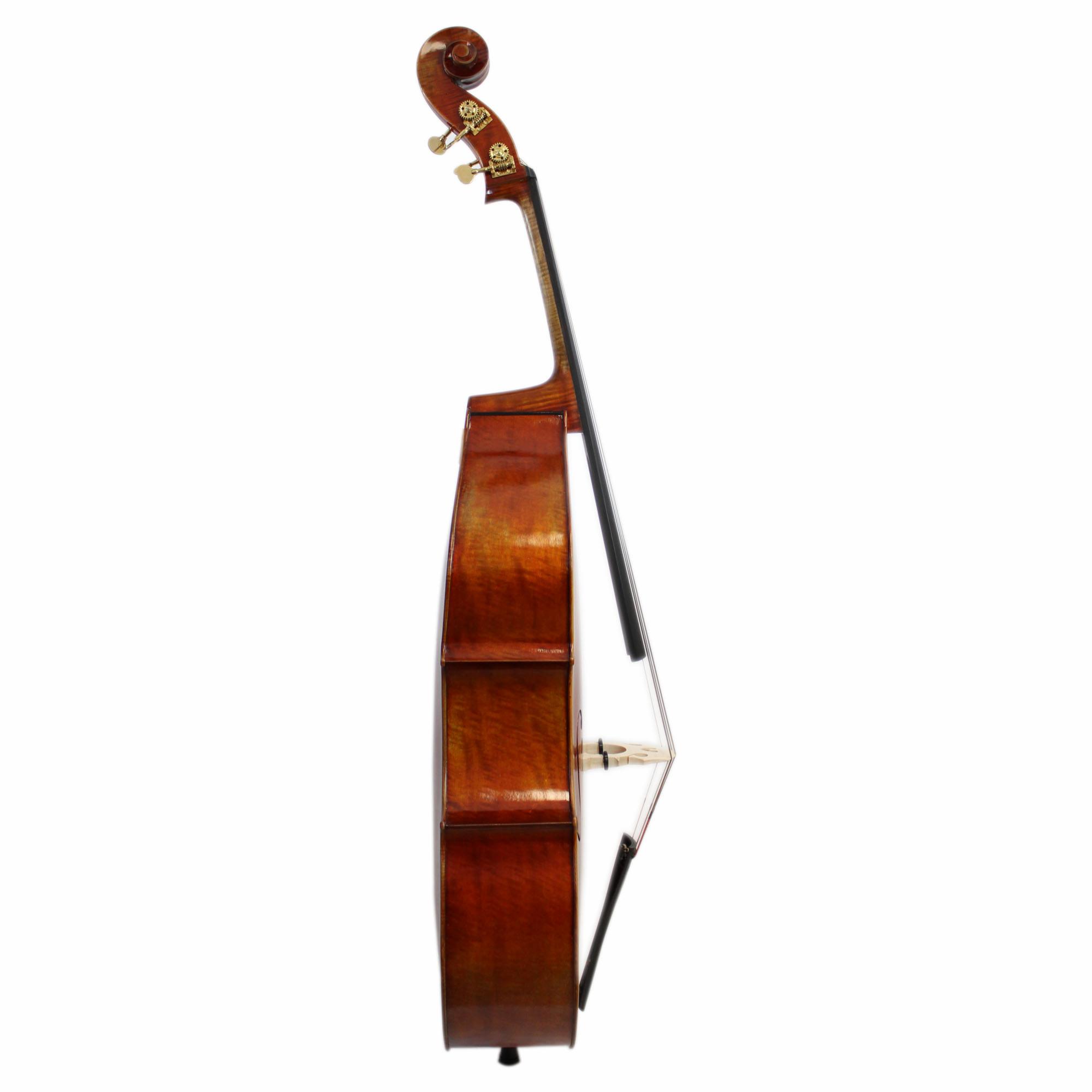 Yuan Qin Maestro Bass