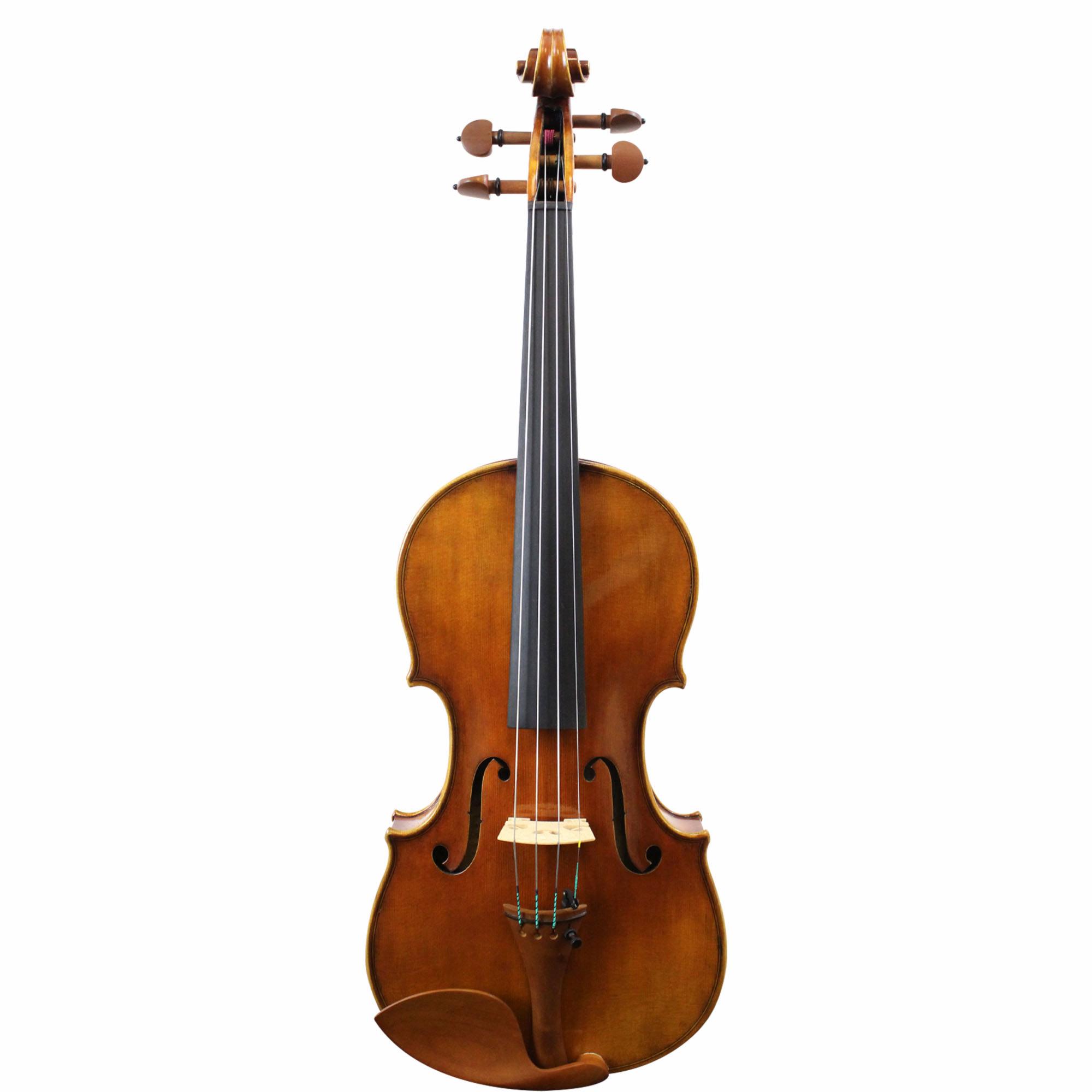 David Lien Violin