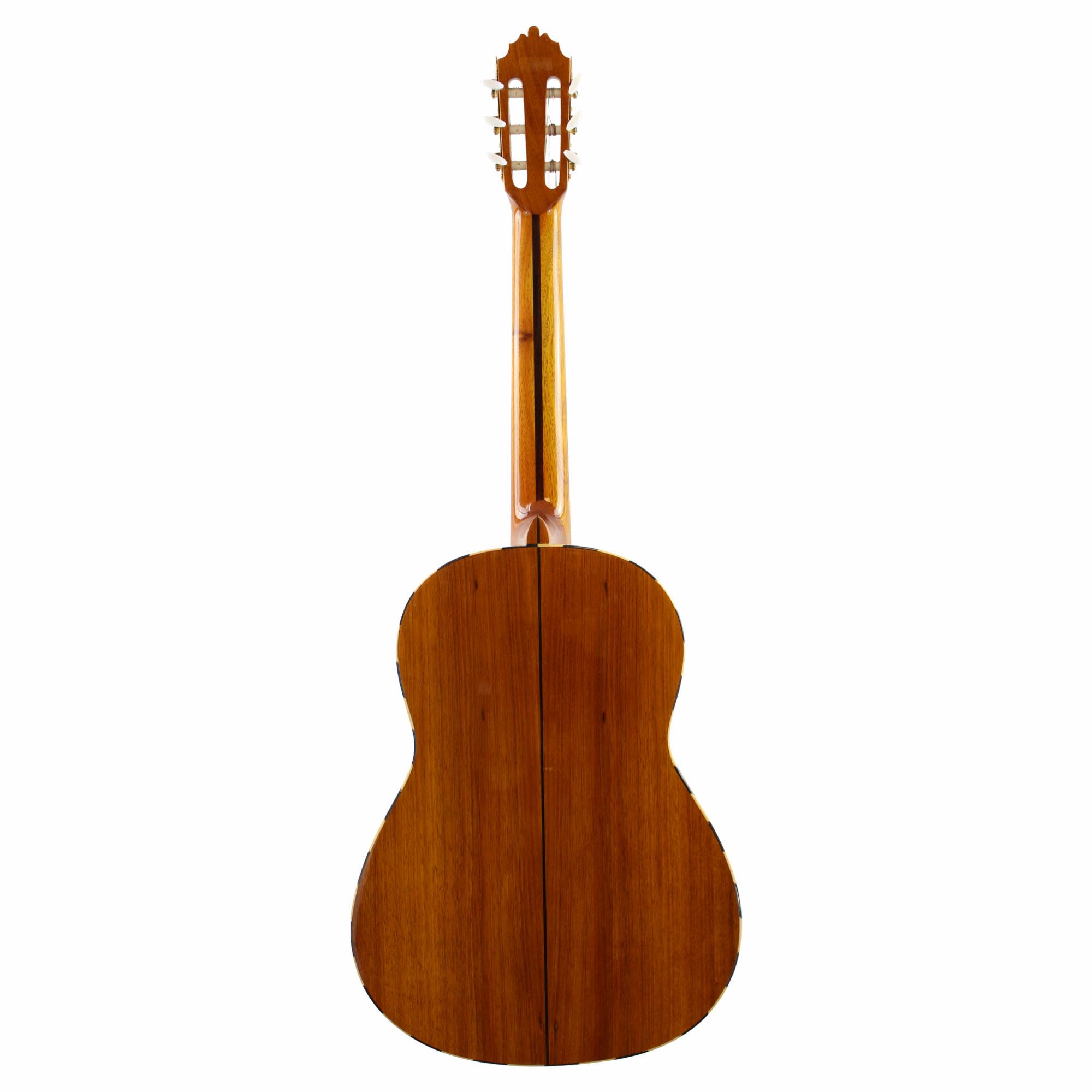 Sevillano Guitar Mariachi