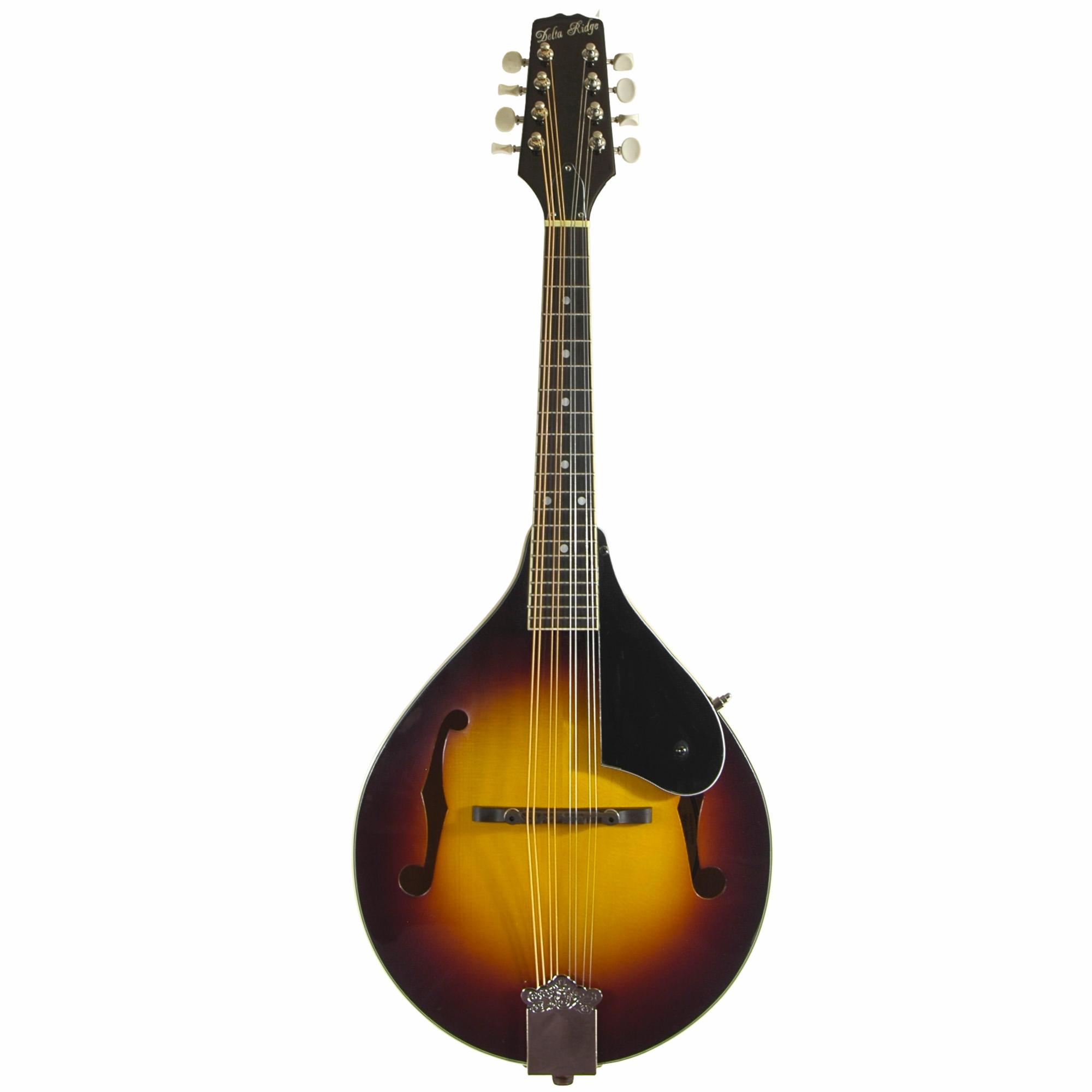 Delta Ridge A-Model Mandolin