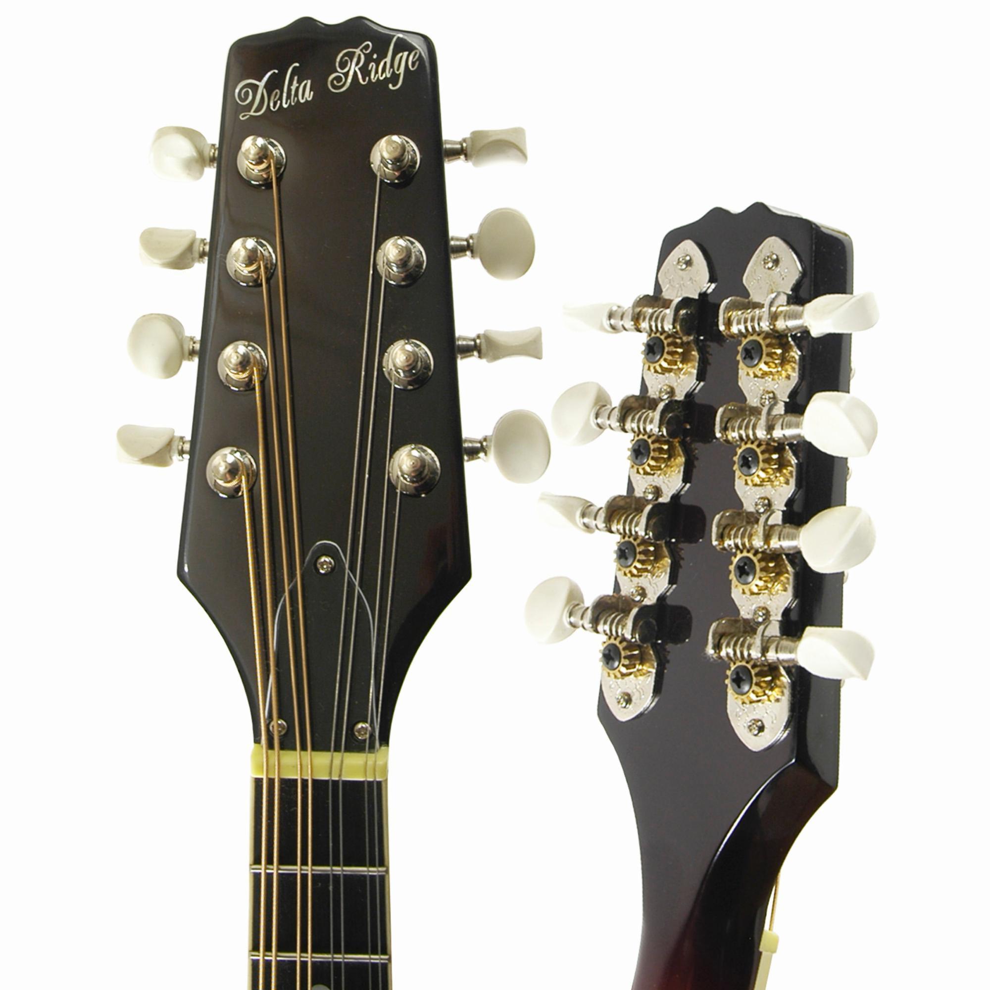 Delta Ridge A-Model Mandolin