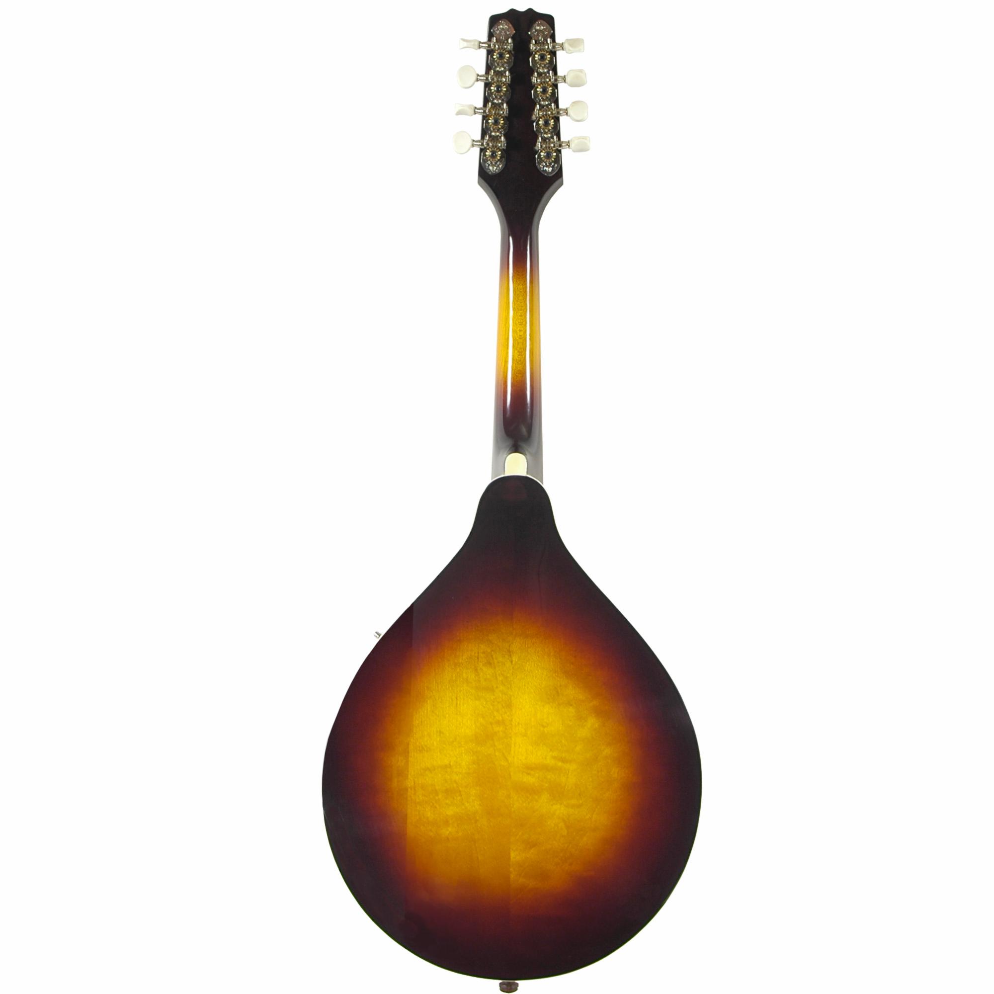 Delta Ridge A-Model Mandolin