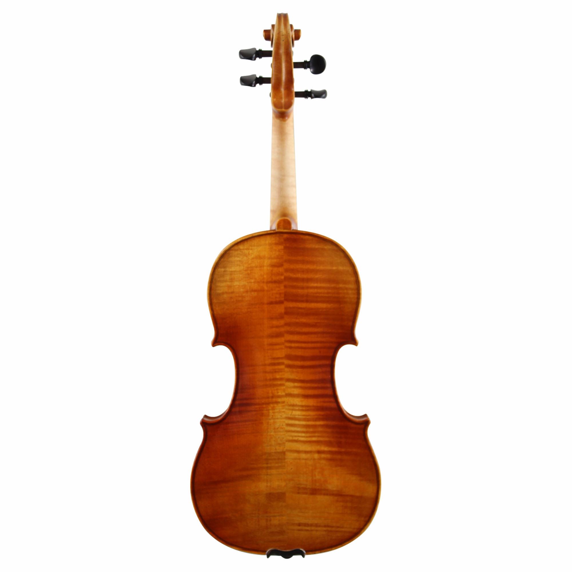 Franz Werner Concert Violin
