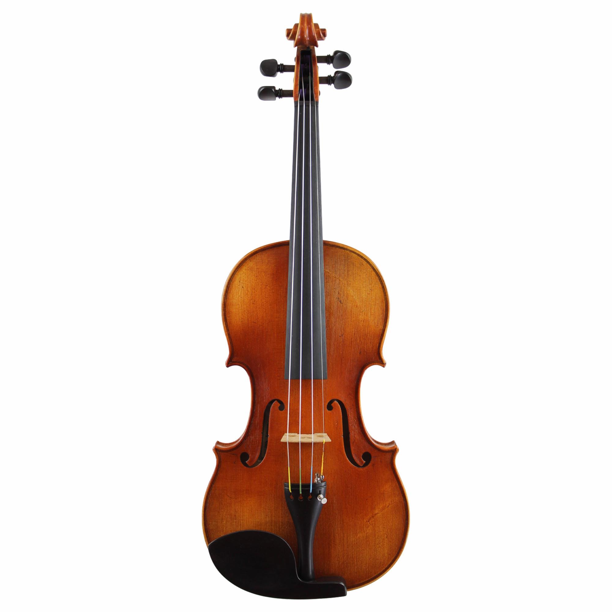 Franz Werner Concert Violin