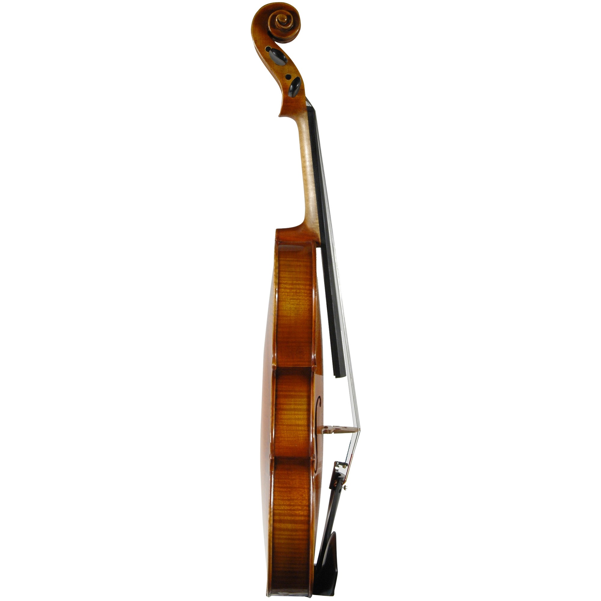 Franz Werner Concert Viola