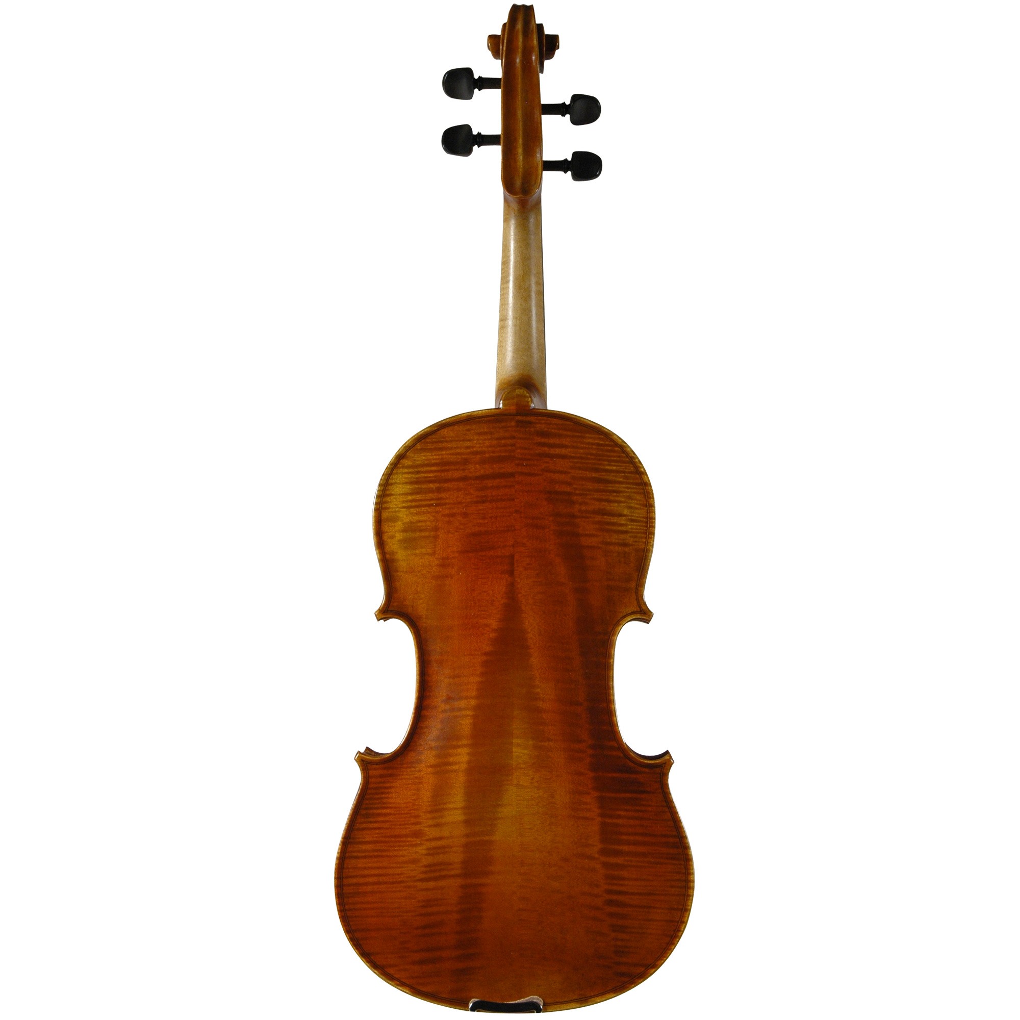 Franz Werner Concert Viola