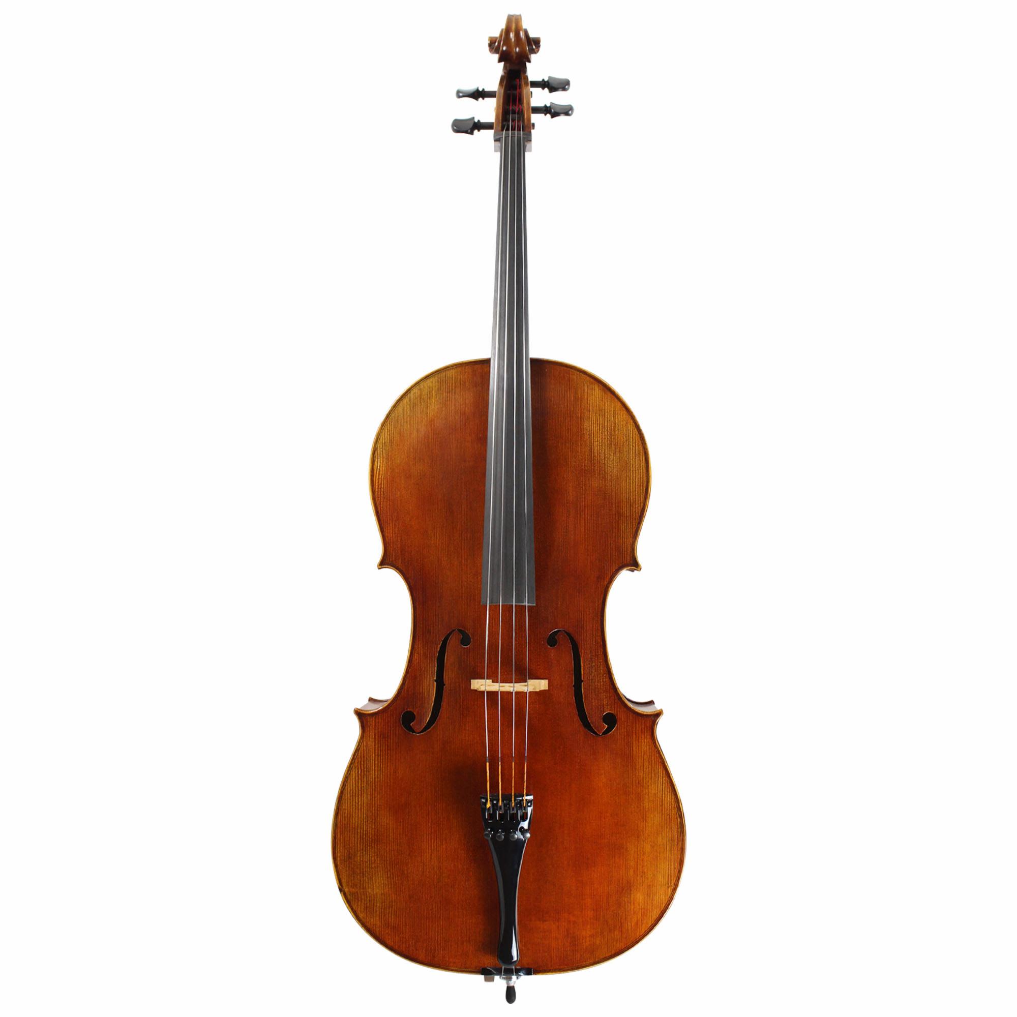 Franz Werner Concert Cello