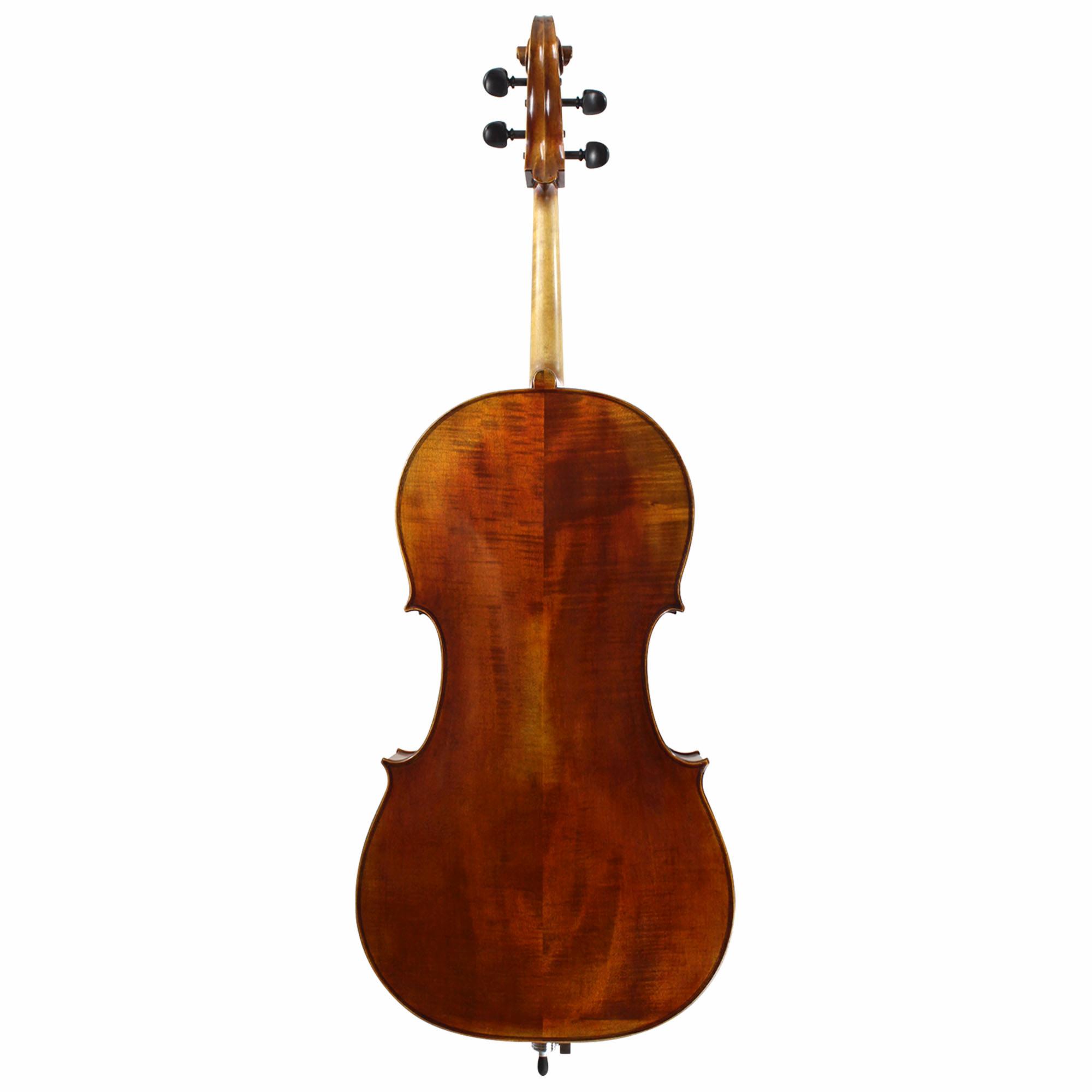Franz Werner Concert Cello