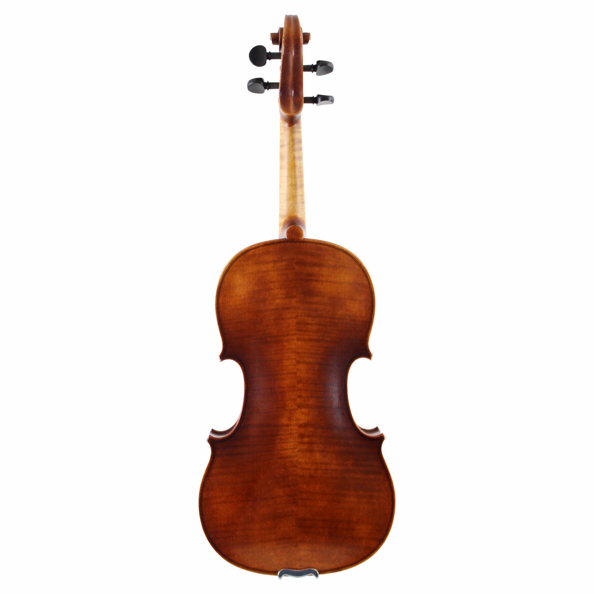 Franz Werner Greenline Violin