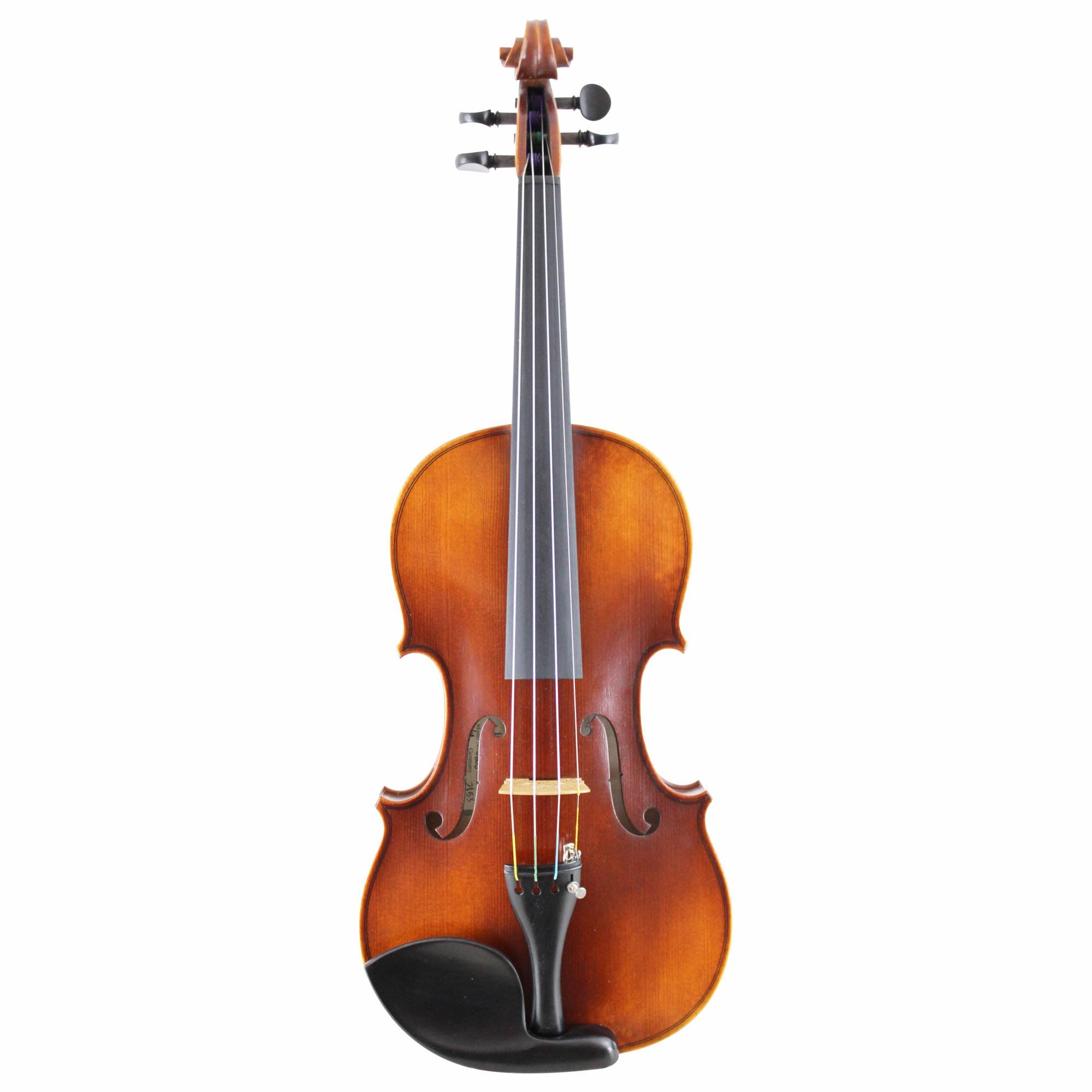 Franz Werner Greenline Violin