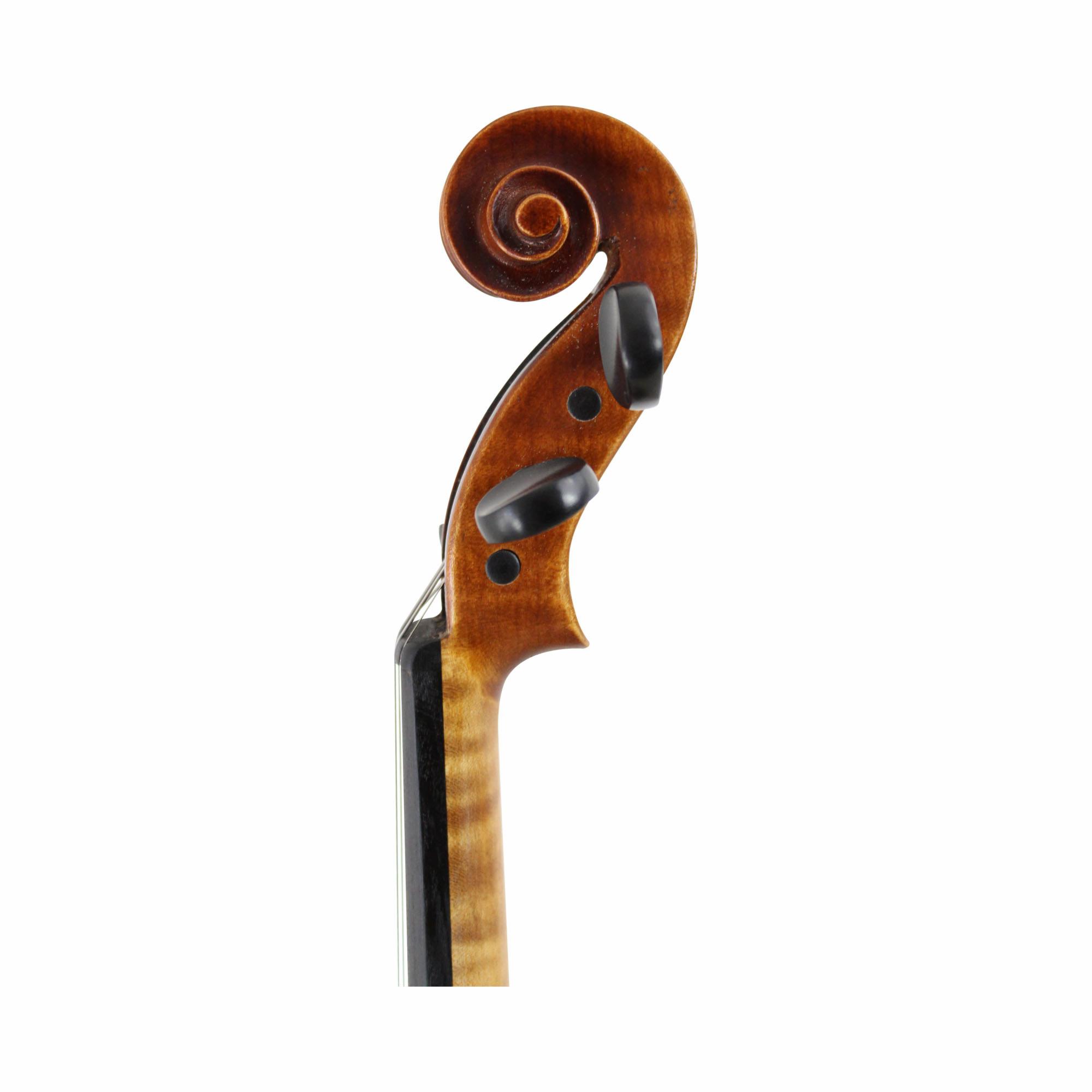 Franz Werner Greenline Violin