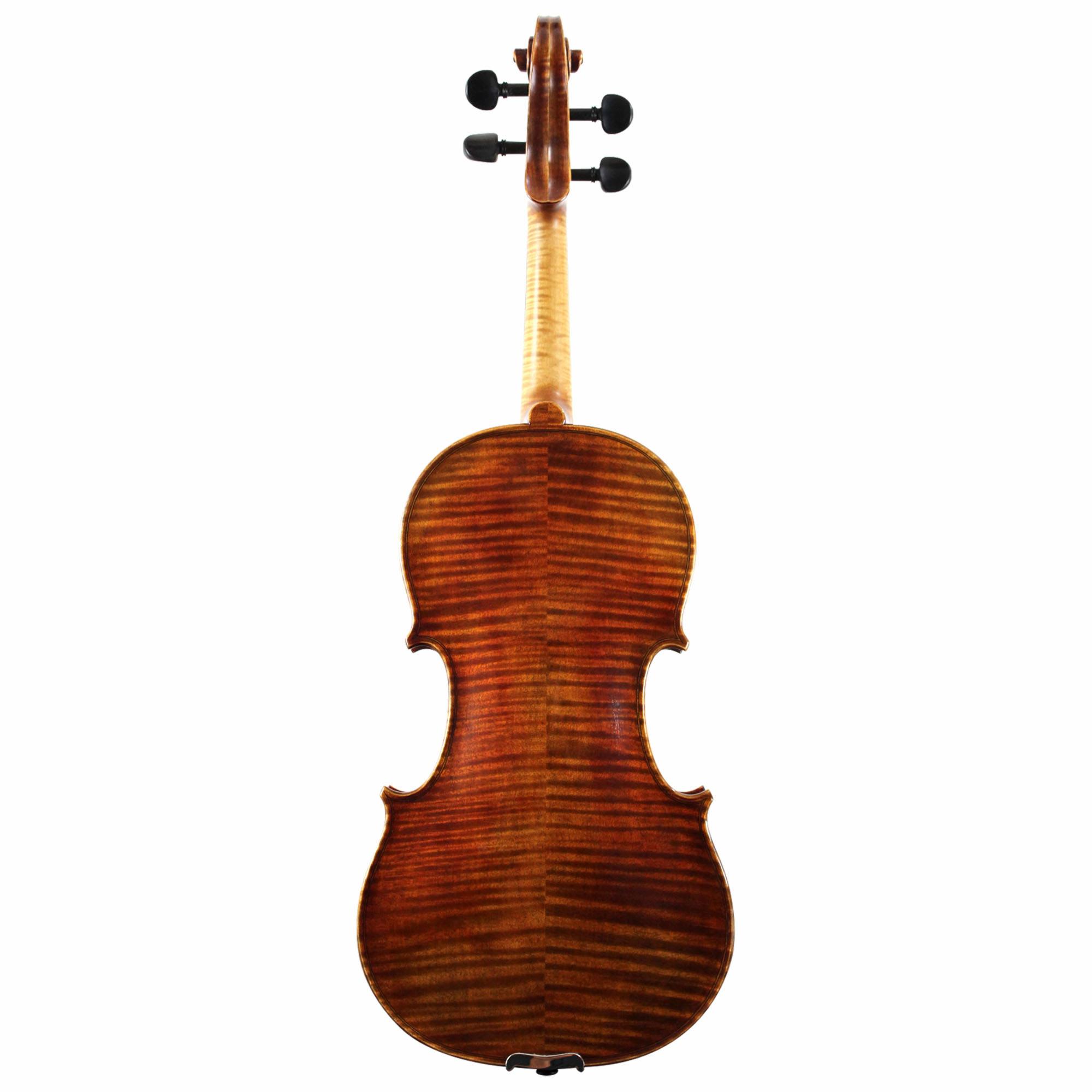 Franz Werner Professional Violin