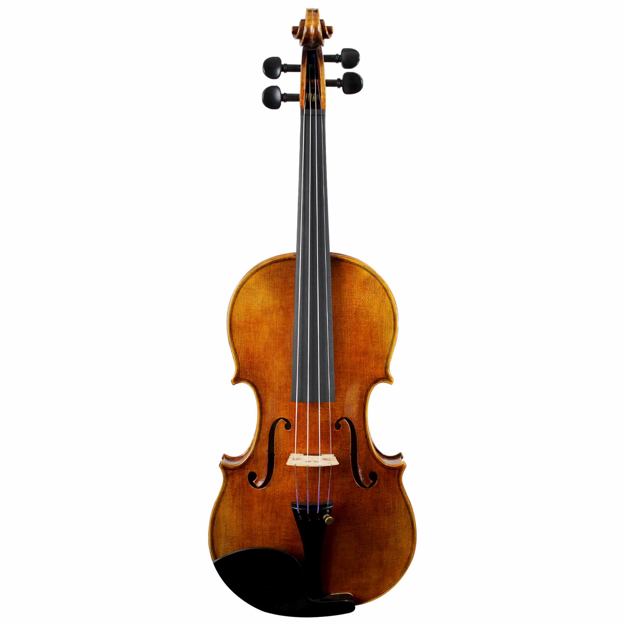 Franz Werner Professional Violin