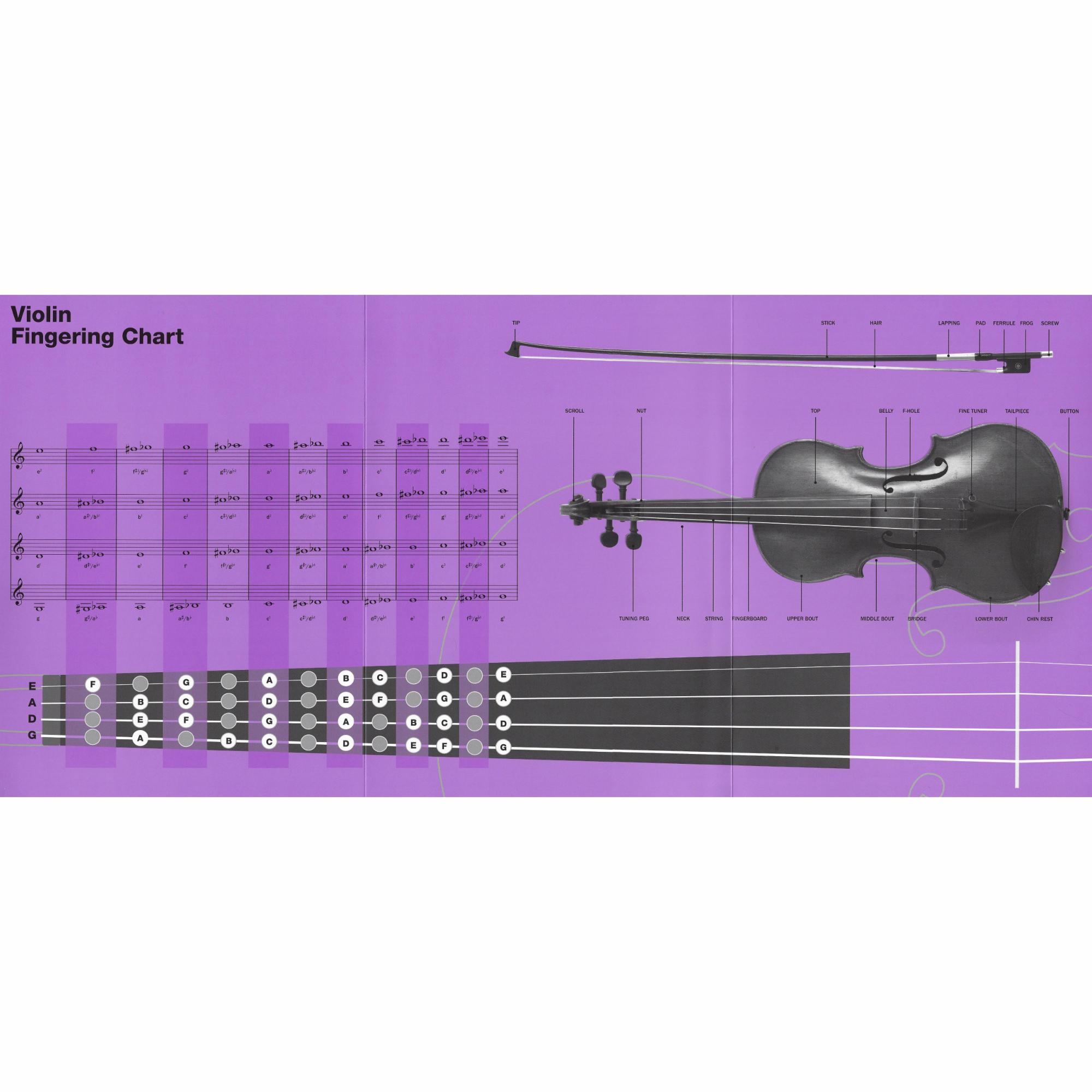 Sample: Violin Chart