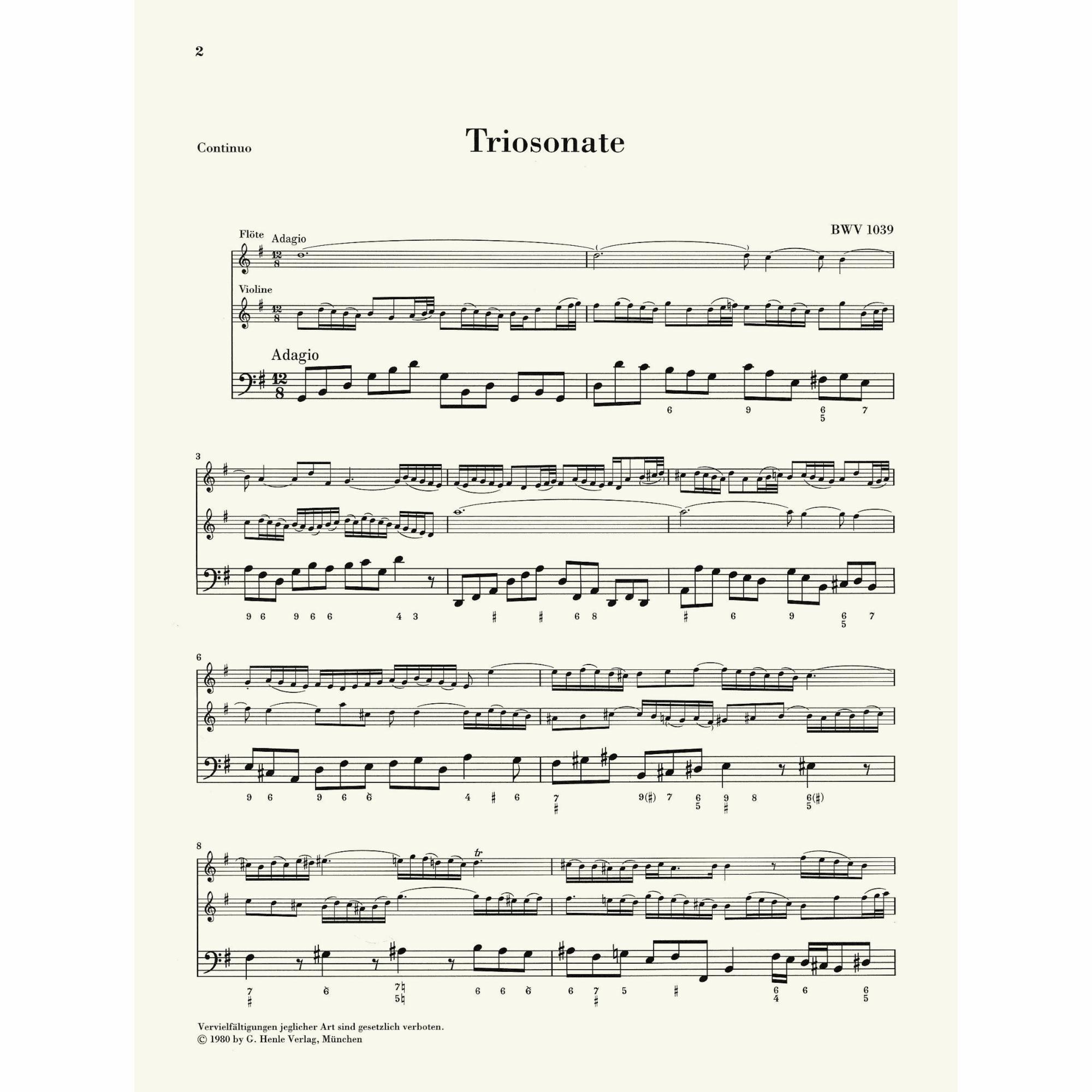 Sample: Unrealized Bass (Pg. 2)