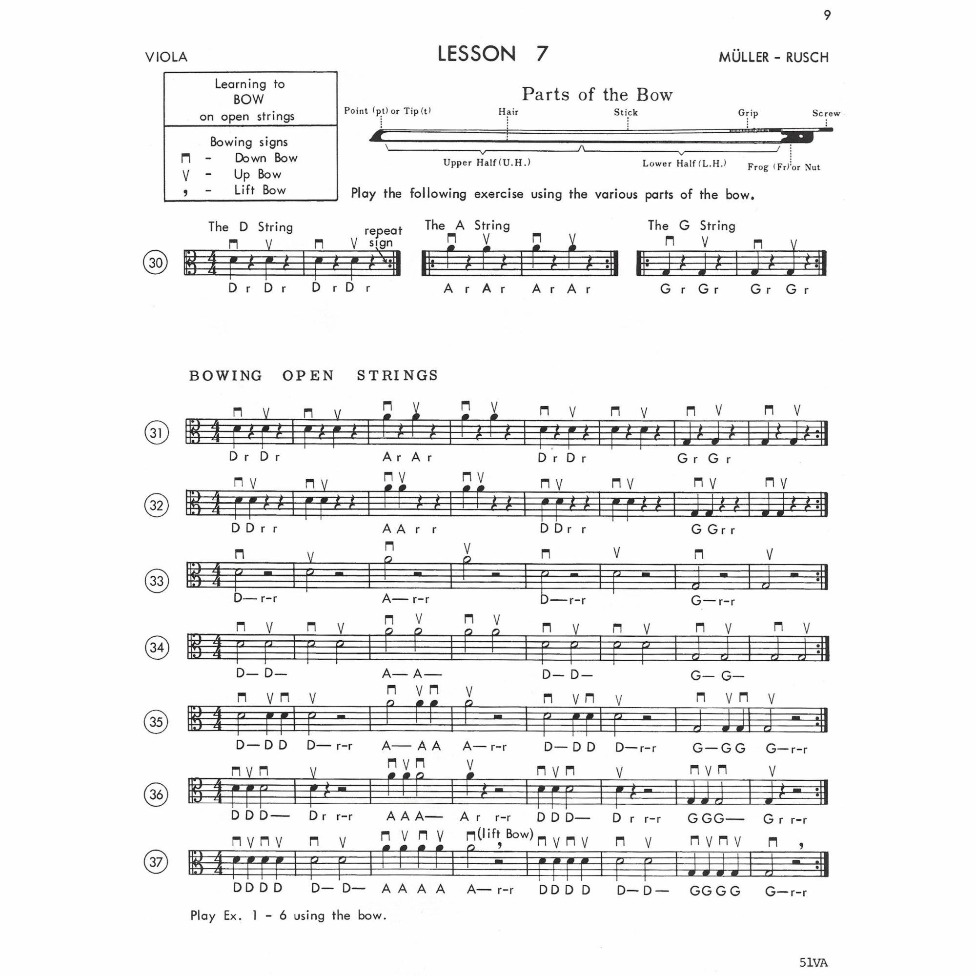 Sample: Viola (Pg. 9)