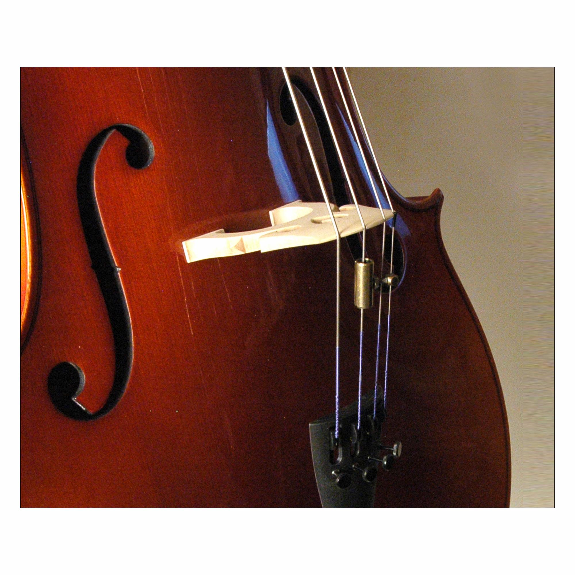 Southwest Strings Wolf Tone Eliminators for Cello