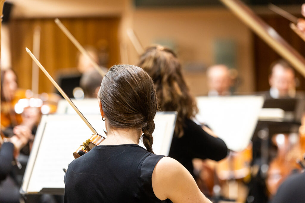 String Instruments Strings Southwest Strings - Official Site
