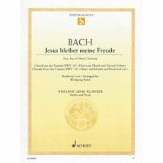 Bach -- Jesu, Joy of Man's Desiring for Violin and Piano